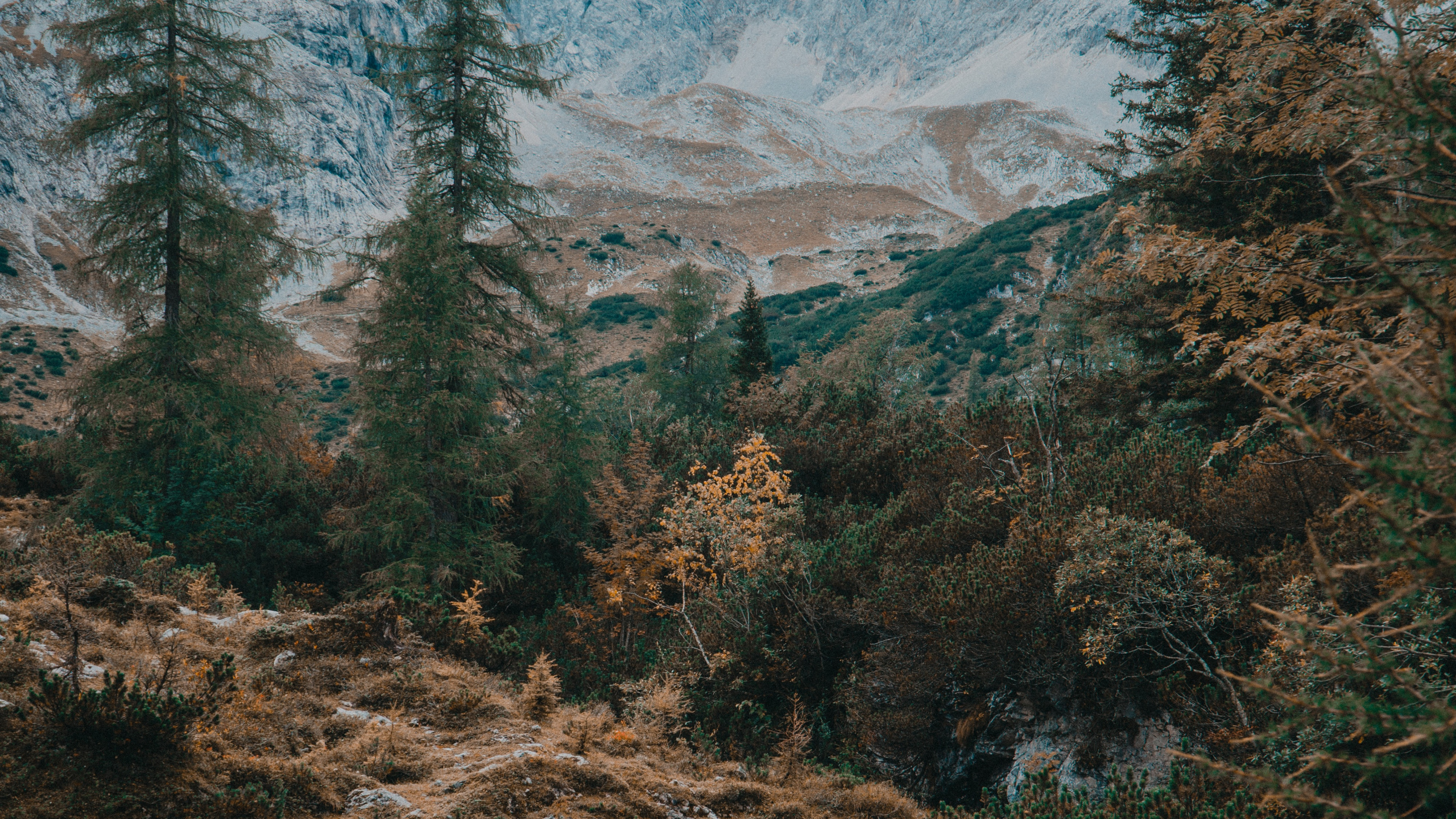 Las Formaciones Montañosas, Montaña, Naturaleza, Paisaje Natural, Desierto. Wallpaper in 2560x1440 Resolution