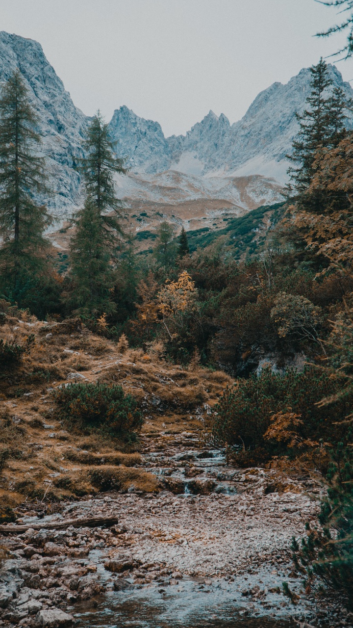 Bergigen Landschaftsformen, Natur, Naturlandschaft, Wildnis, Baum. Wallpaper in 720x1280 Resolution