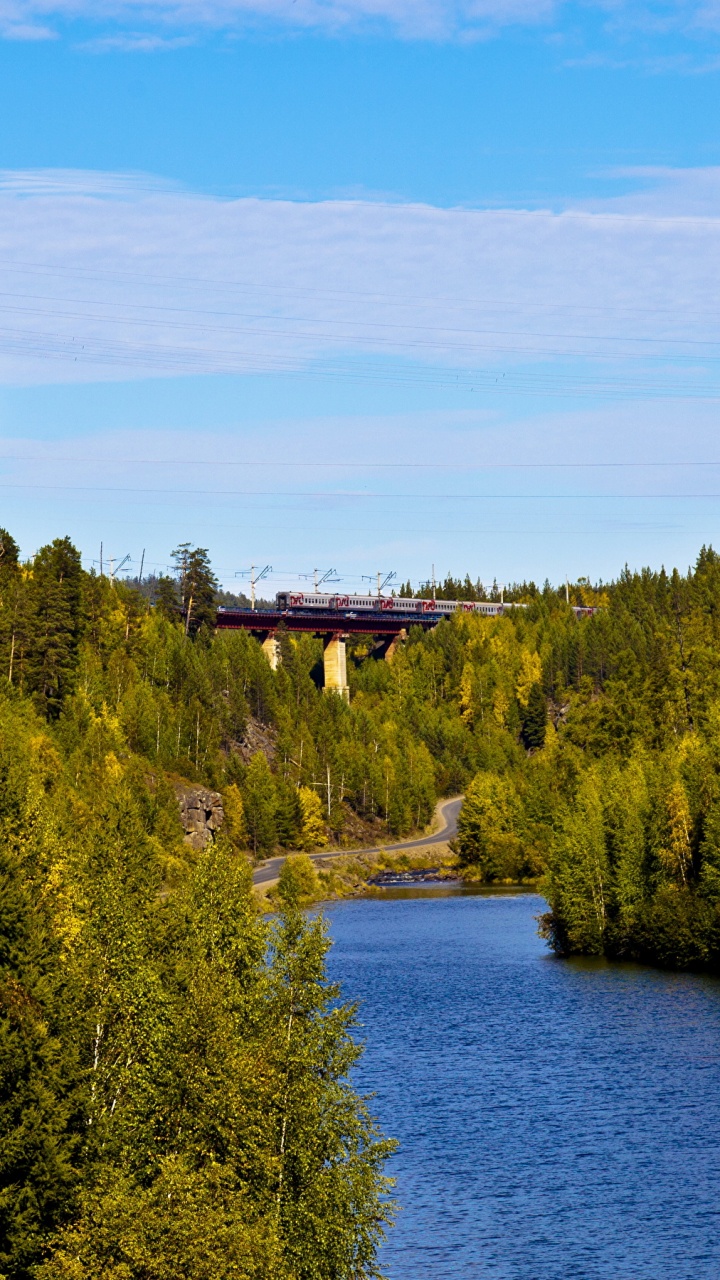 Arbres Verts Près D'un Plan D'eau Sous un Ciel Bleu Pendant la Journée. Wallpaper in 720x1280 Resolution
