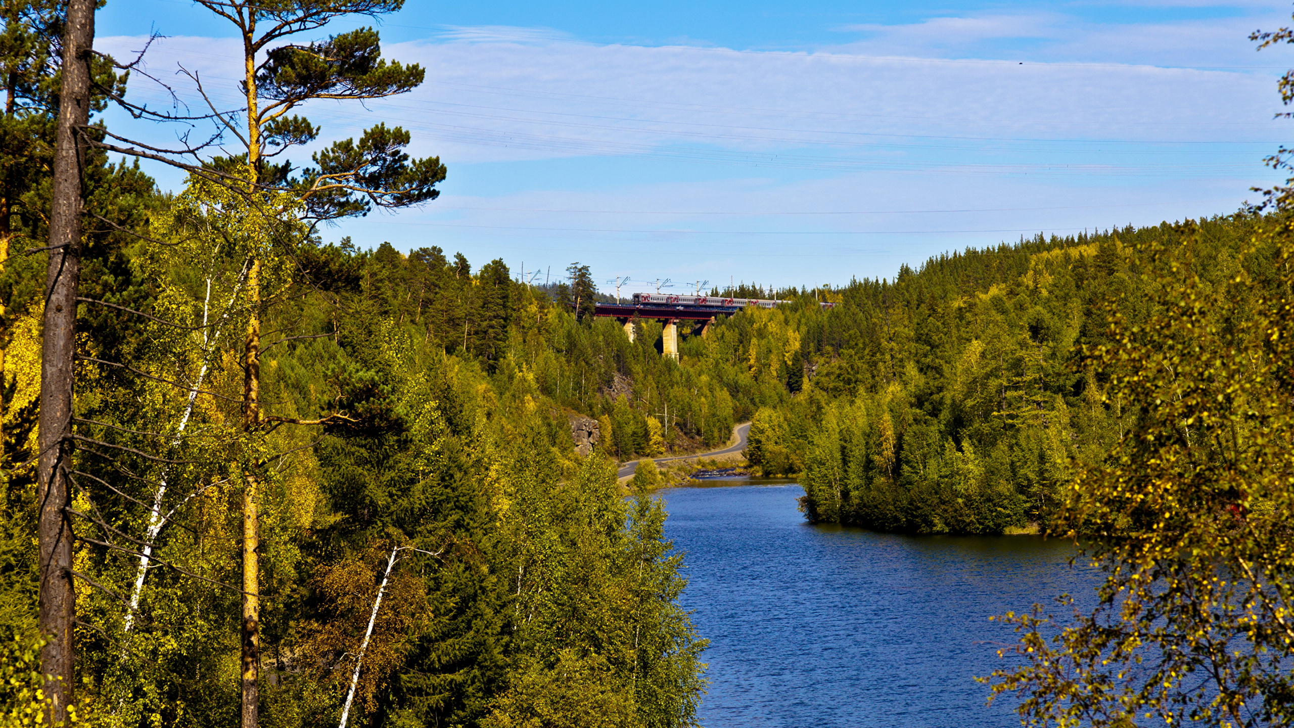 Green Trees Near Body of Water Under Blue Sky During Daytime. Wallpaper in 2560x1440 Resolution
