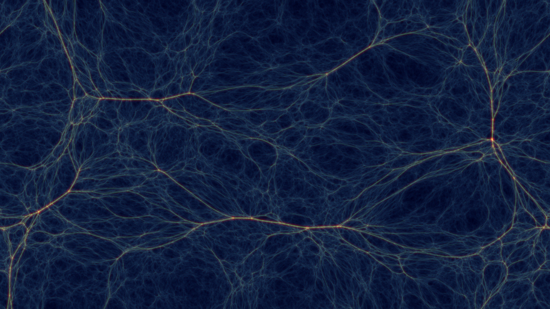 Black and Brown Tree Branches. Wallpaper in 1920x1080 Resolution