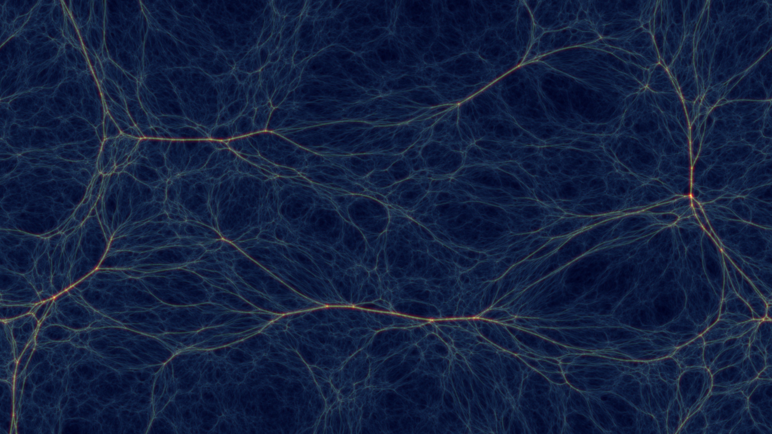 Black and Brown Tree Branches. Wallpaper in 2560x1440 Resolution