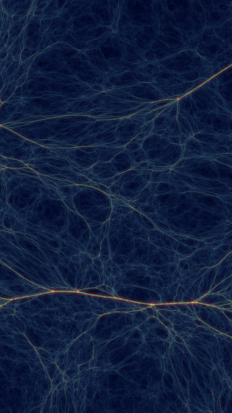 Black and Brown Tree Branches. Wallpaper in 750x1334 Resolution