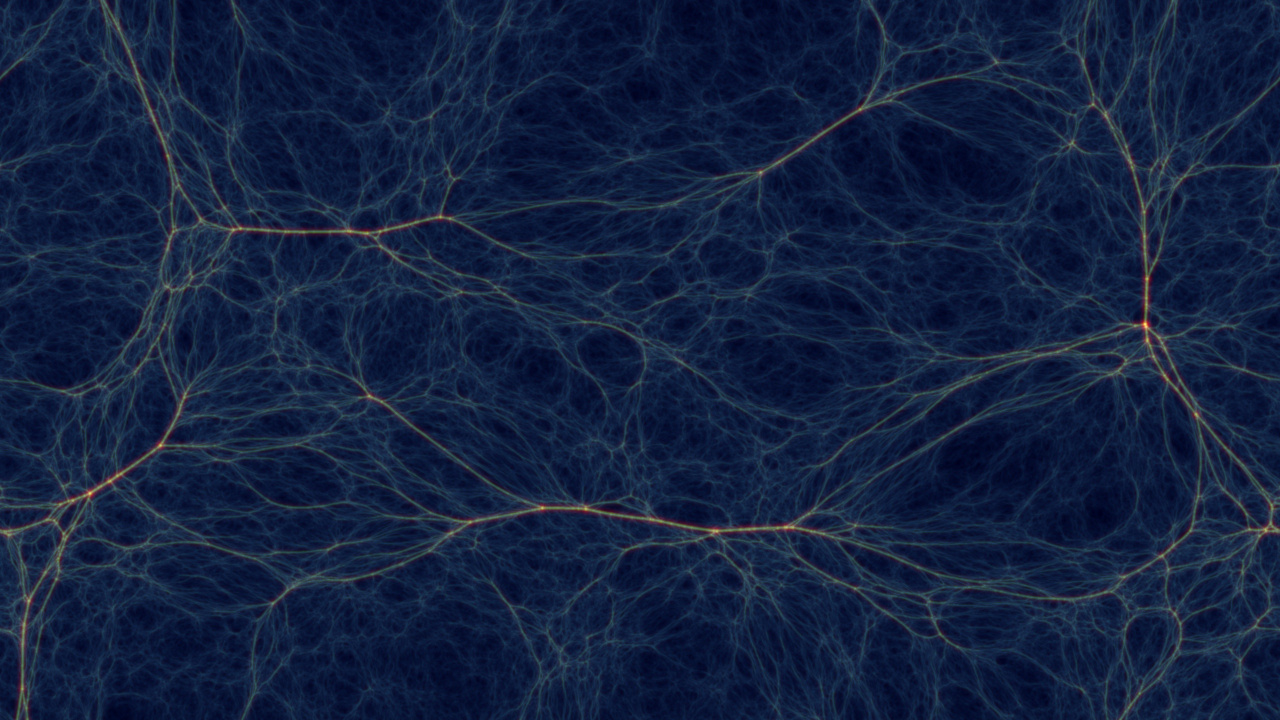 Branches D'arbres Noires et Brunes. Wallpaper in 1280x720 Resolution