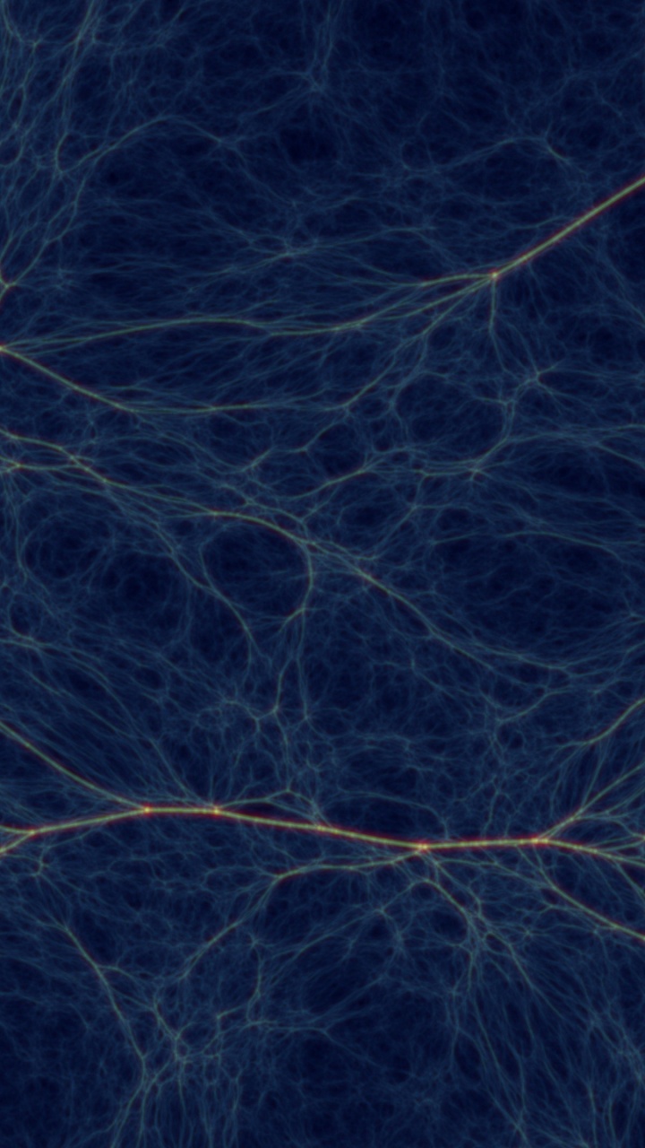 Branches D'arbres Noires et Brunes. Wallpaper in 720x1280 Resolution