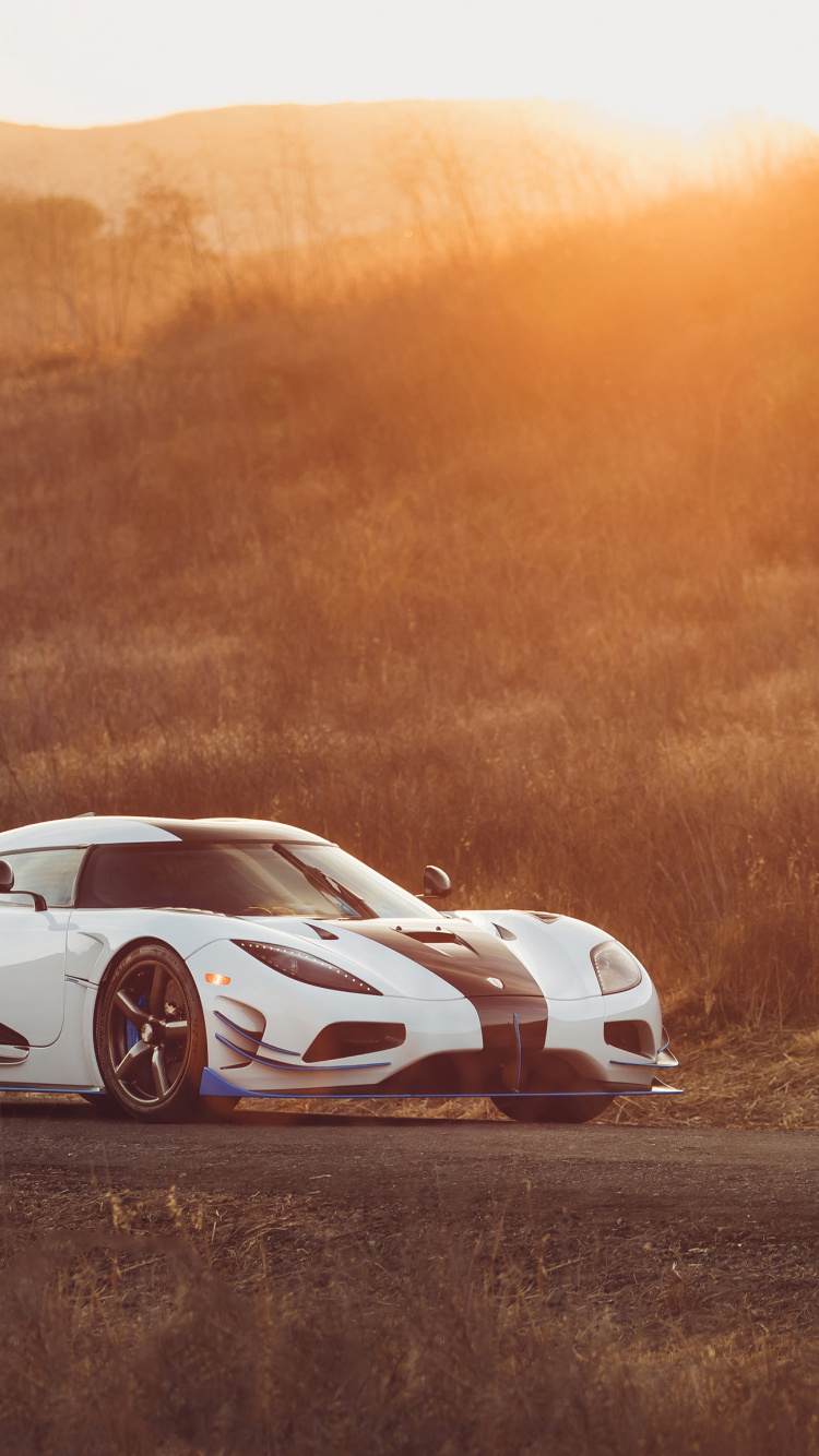 White and Red Porsche 911 on Brown Field During Daytime. Wallpaper in 750x1334 Resolution