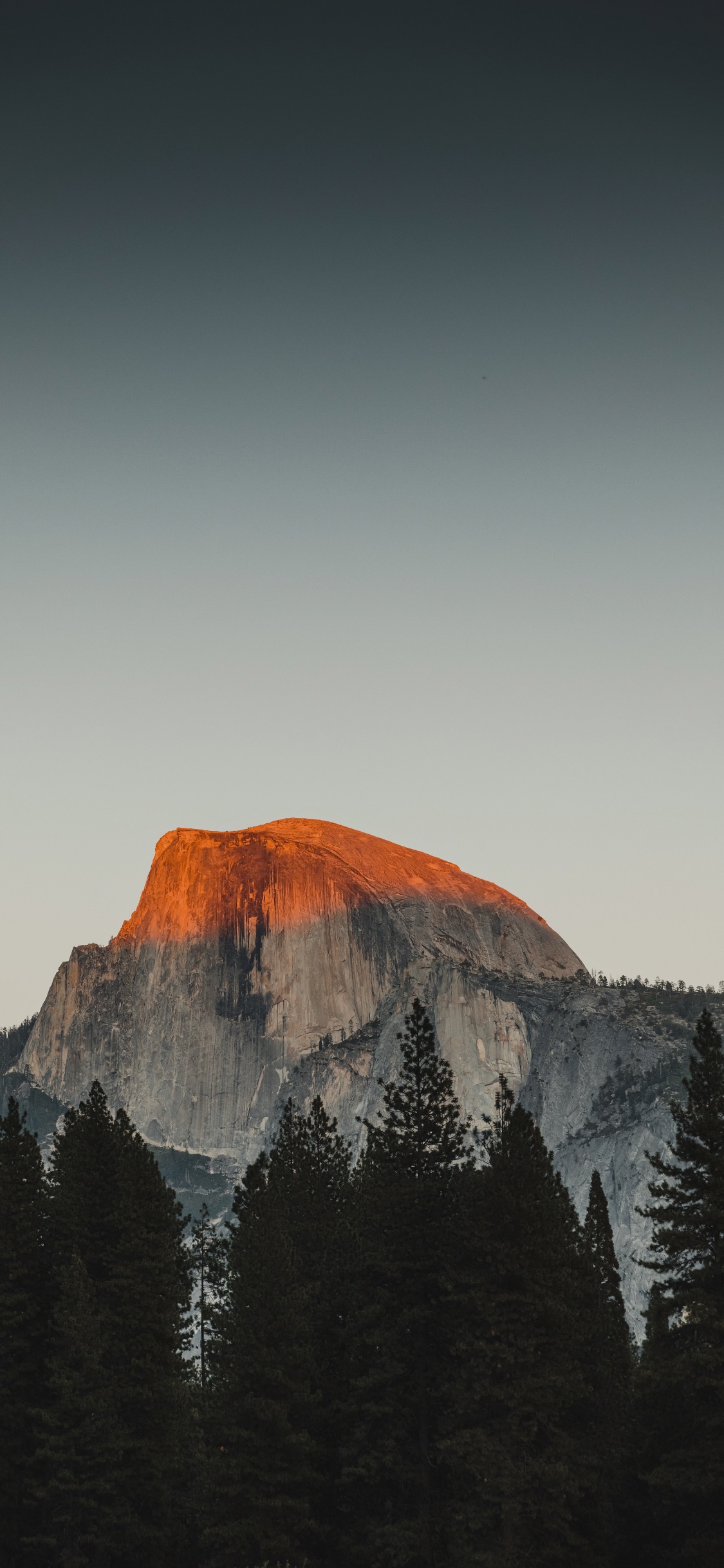 le Parc National de Yosemite, Laisser Aller, Paysage Naturel, Highland, Pente. Wallpaper in 1125x2436 Resolution