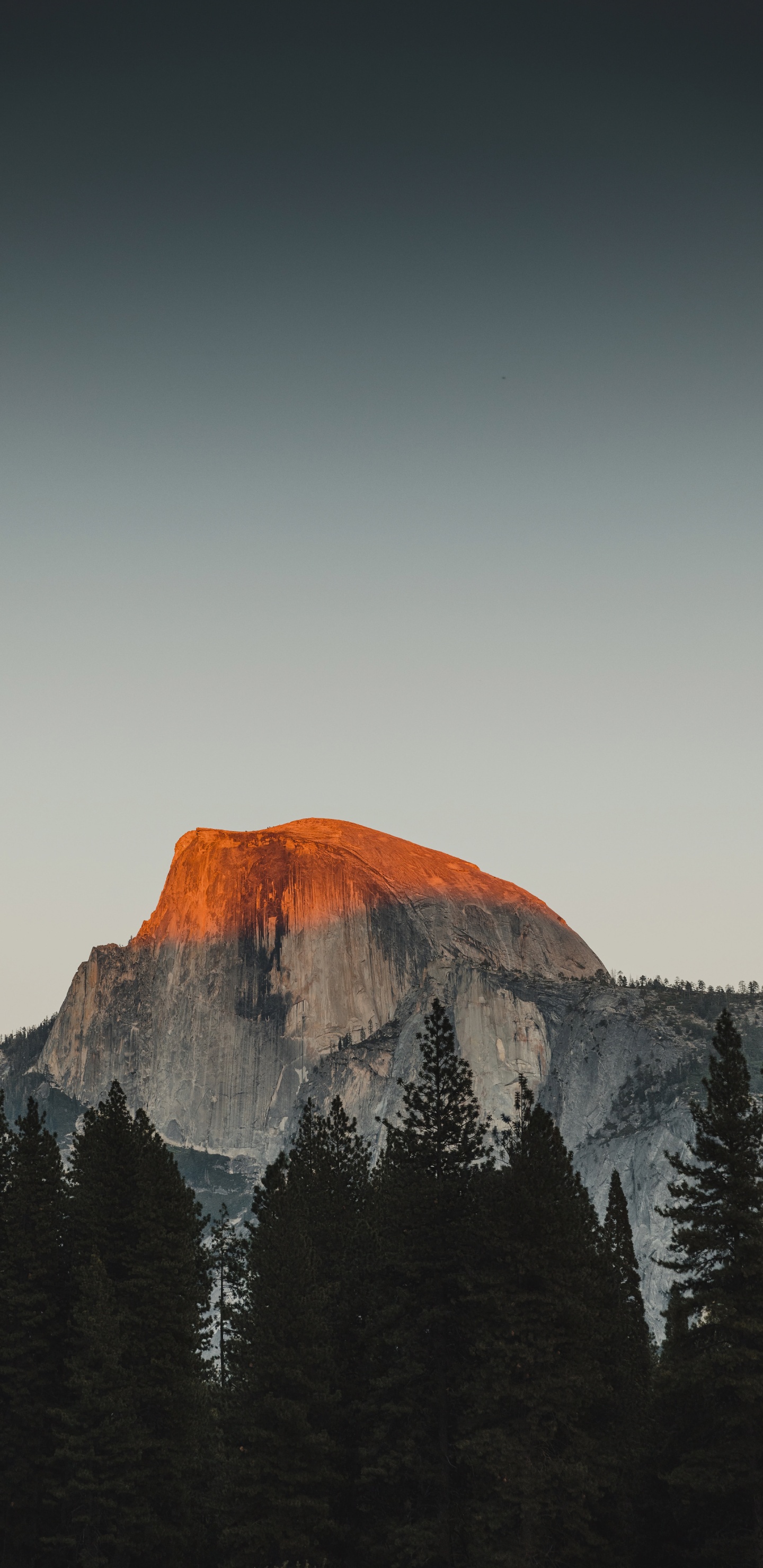 Yosemite National Park, Remittere, Mountain, Tree, Dusk. Wallpaper in 1440x2960 Resolution