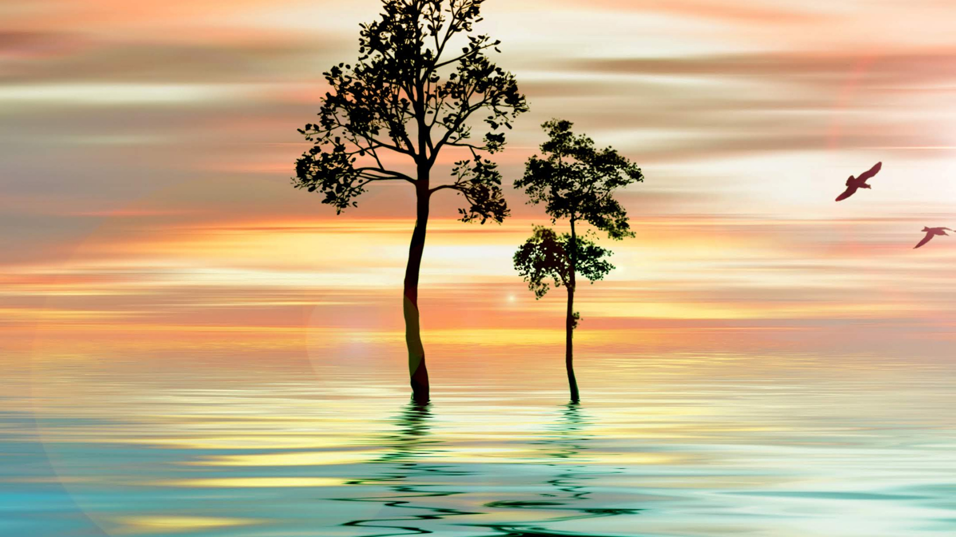 Huawei, Huawei Nova, Huawei Nova 4, Fonds D'écran Huawei Nova4, Huawei Nova 4e. Wallpaper in 1920x1080 Resolution