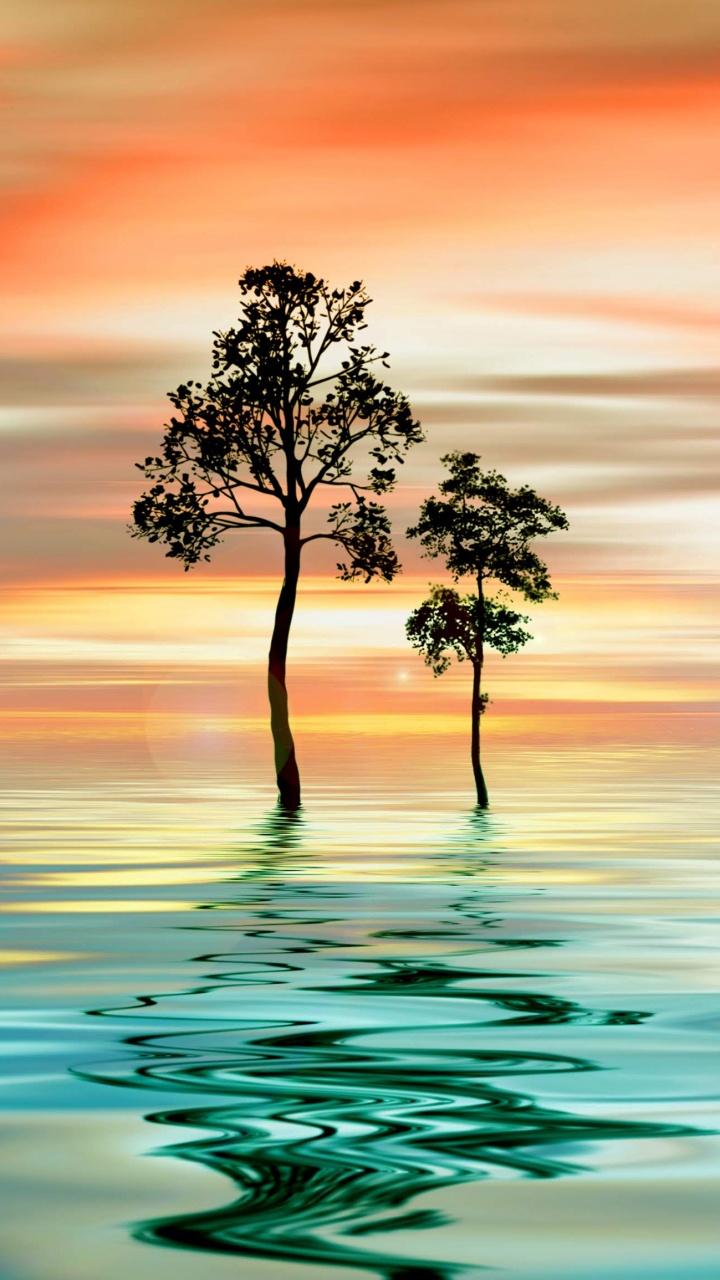 Huawei, Huawei Nova, Huawei Nova 4, Fonds D'écran Huawei Nova4, Huawei Nova 4e. Wallpaper in 720x1280 Resolution