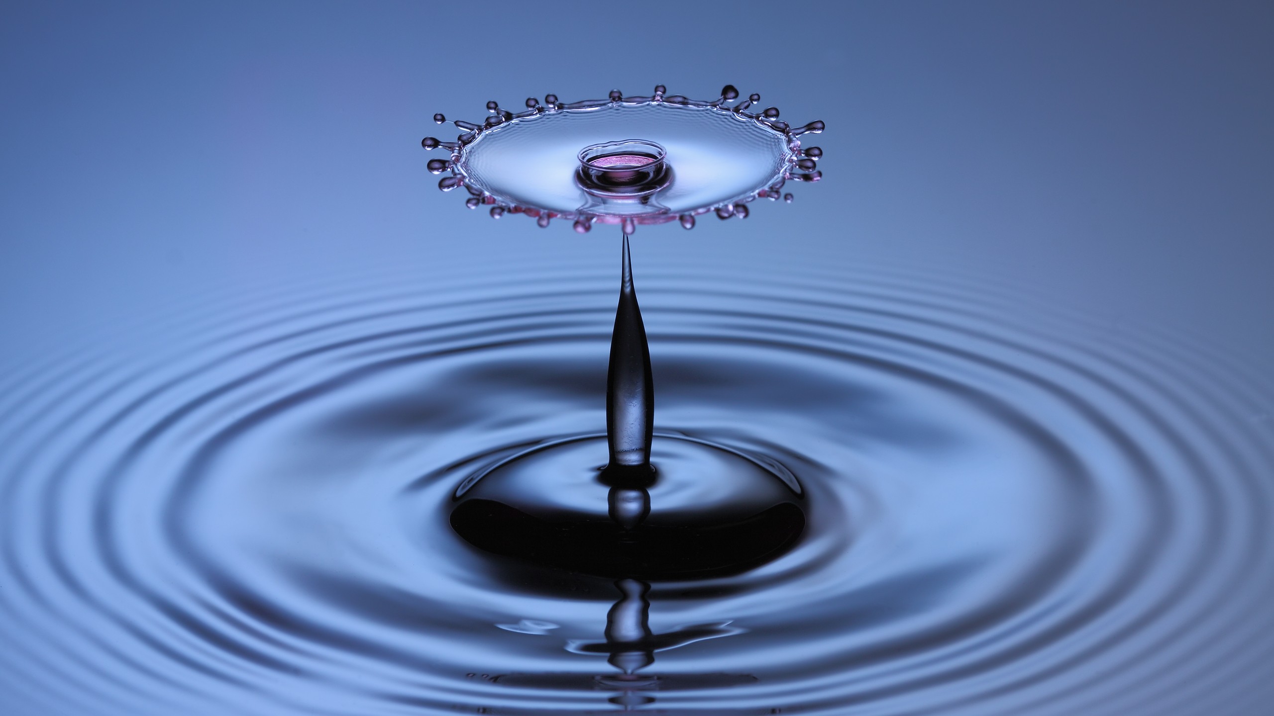 Water Drop on Water in Close up Photography. Wallpaper in 2560x1440 Resolution