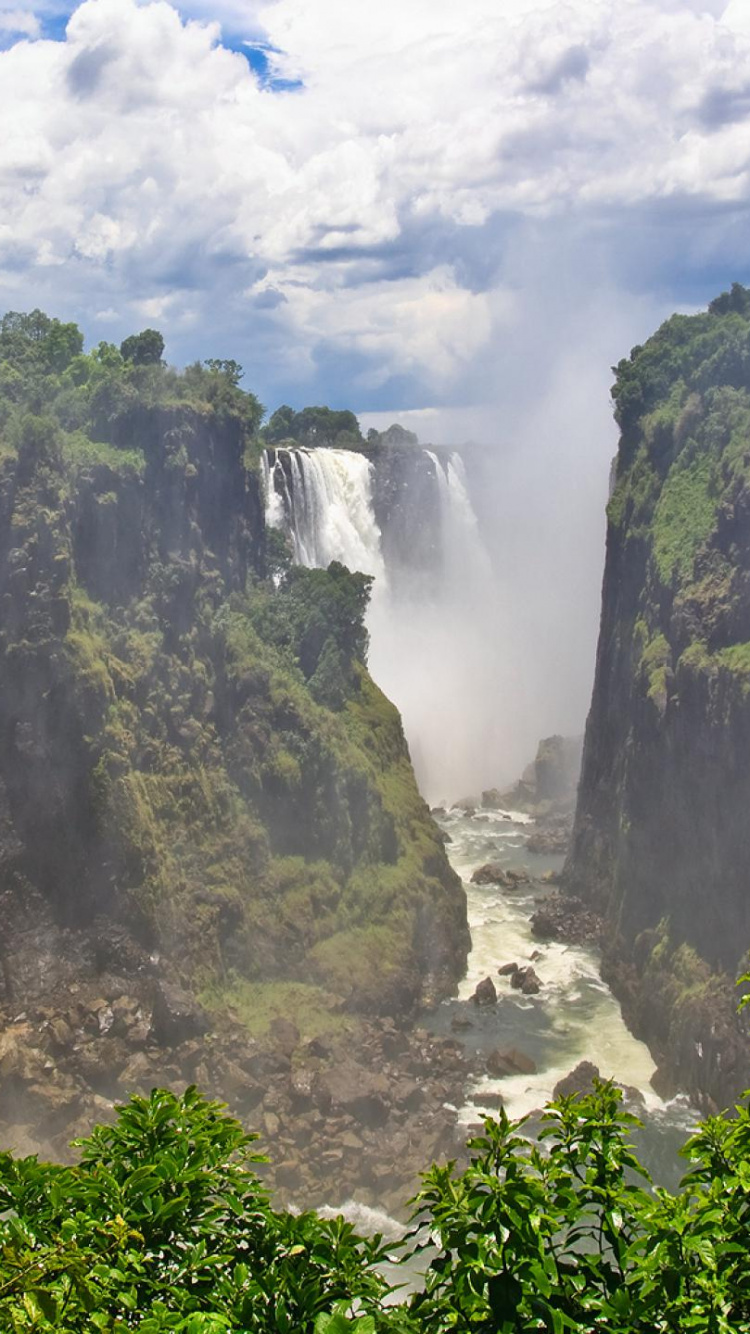 性质, 水资源, 自然保护区, 植被, 山站 壁纸 750x1334 允许