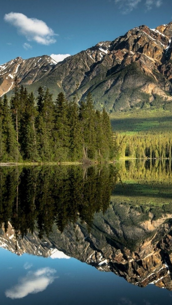 Grüne Wiese in Der Nähe Von See Und Berg. Wallpaper in 720x1280 Resolution