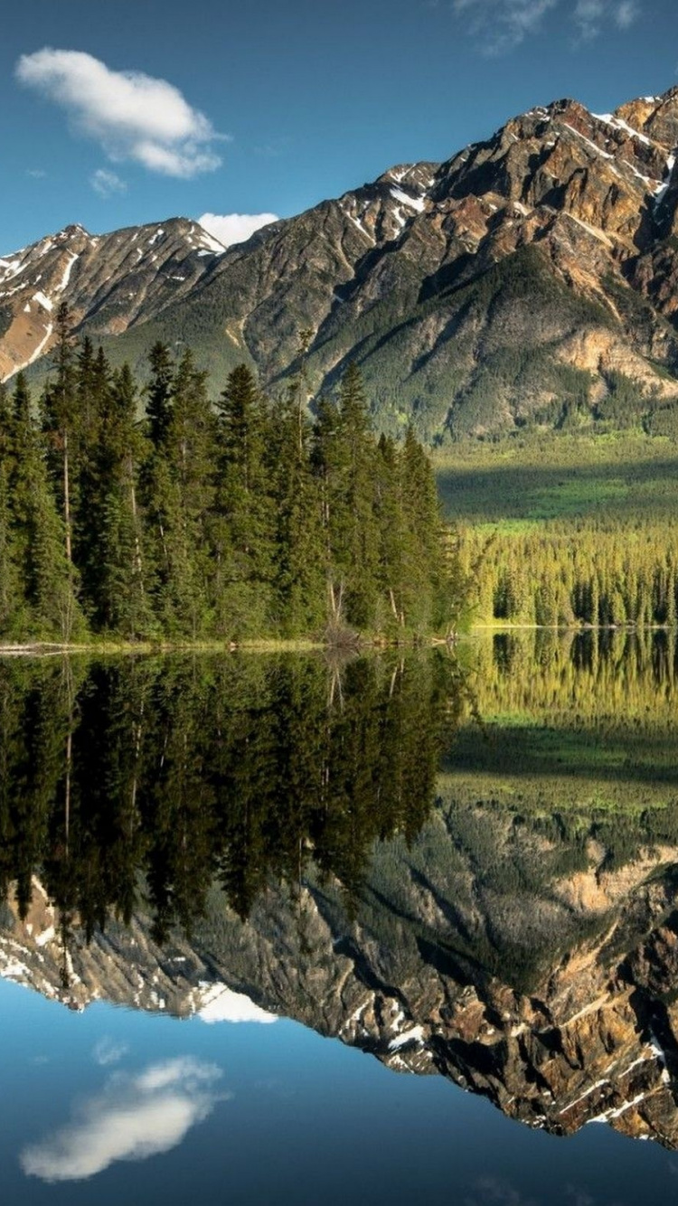 Grüne Wiese in Der Nähe Von See Und Berg. Wallpaper in 750x1334 Resolution