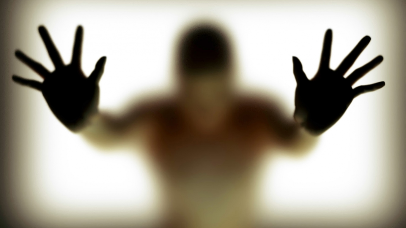 Topless Man With Black and White Cat on His Back. Wallpaper in 1366x768 Resolution