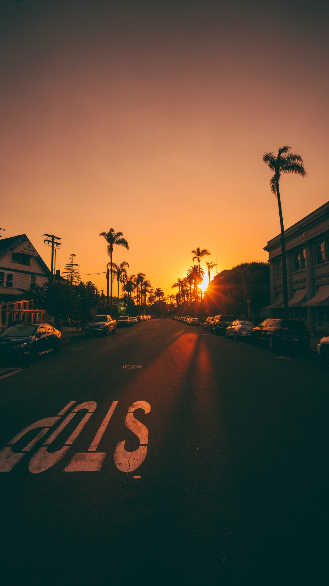 Silhouette of Trees and Houses During Sunset. Wallpaper in 1080x1920 Resolution