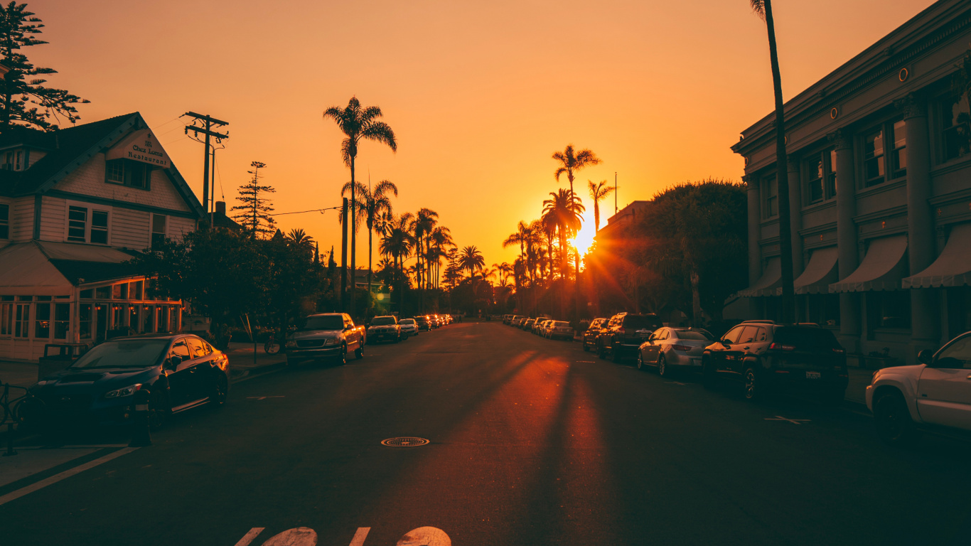 Silhouette of Trees and Houses During Sunset. Wallpaper in 1366x768 Resolution