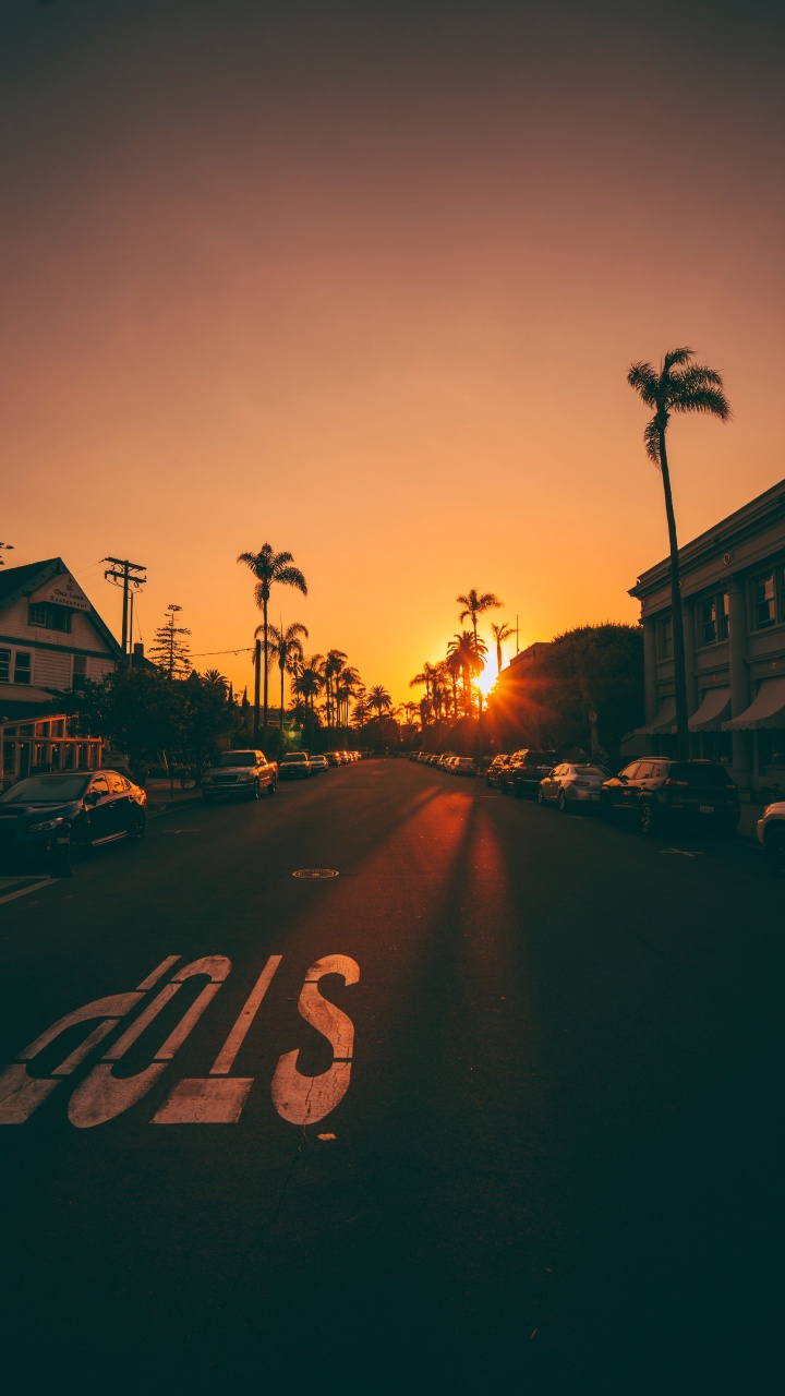 Silhouette of Trees and Houses During Sunset. Wallpaper in 720x1280 Resolution