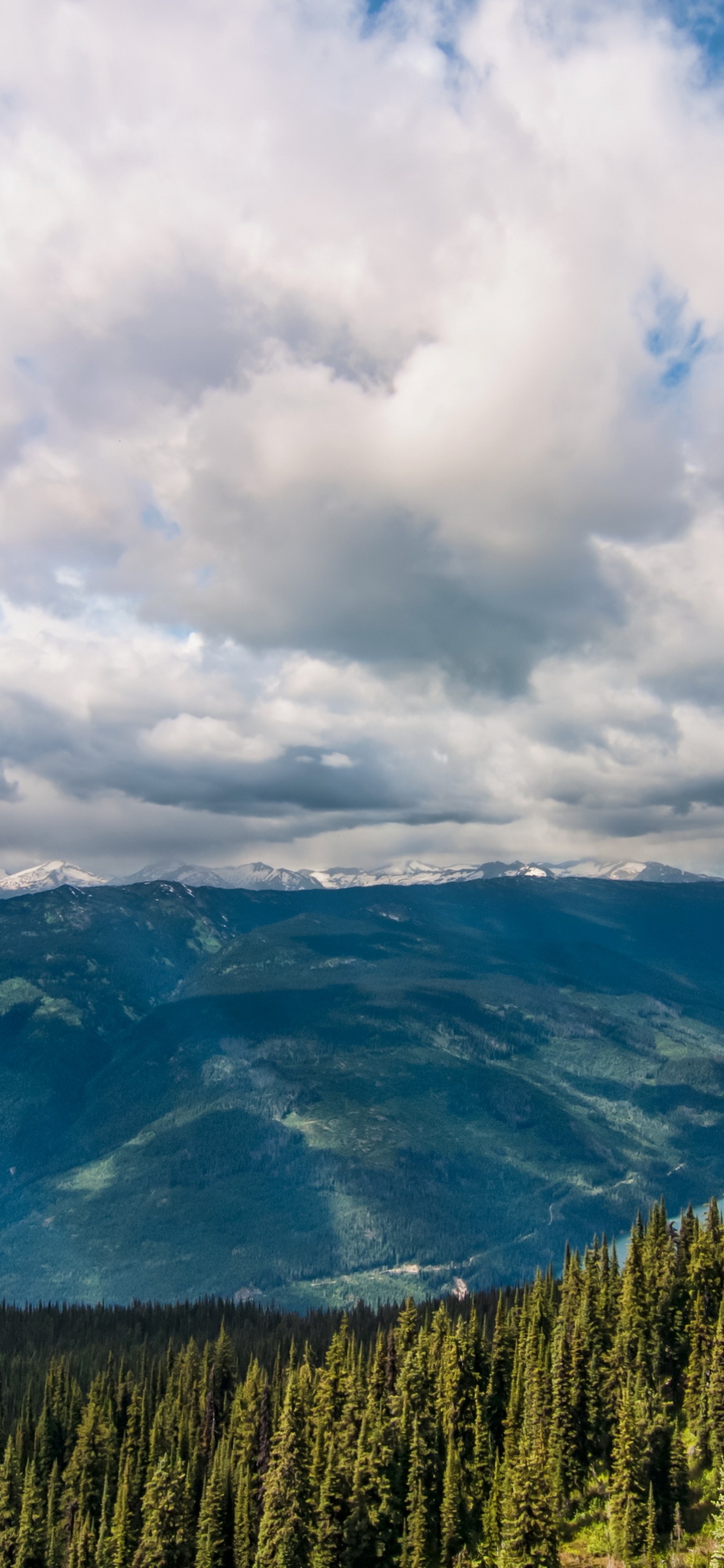 Arbres Verts Sur la Montagne Sous Des Nuages Blancs Pendant la Journée. Wallpaper in 1125x2436 Resolution