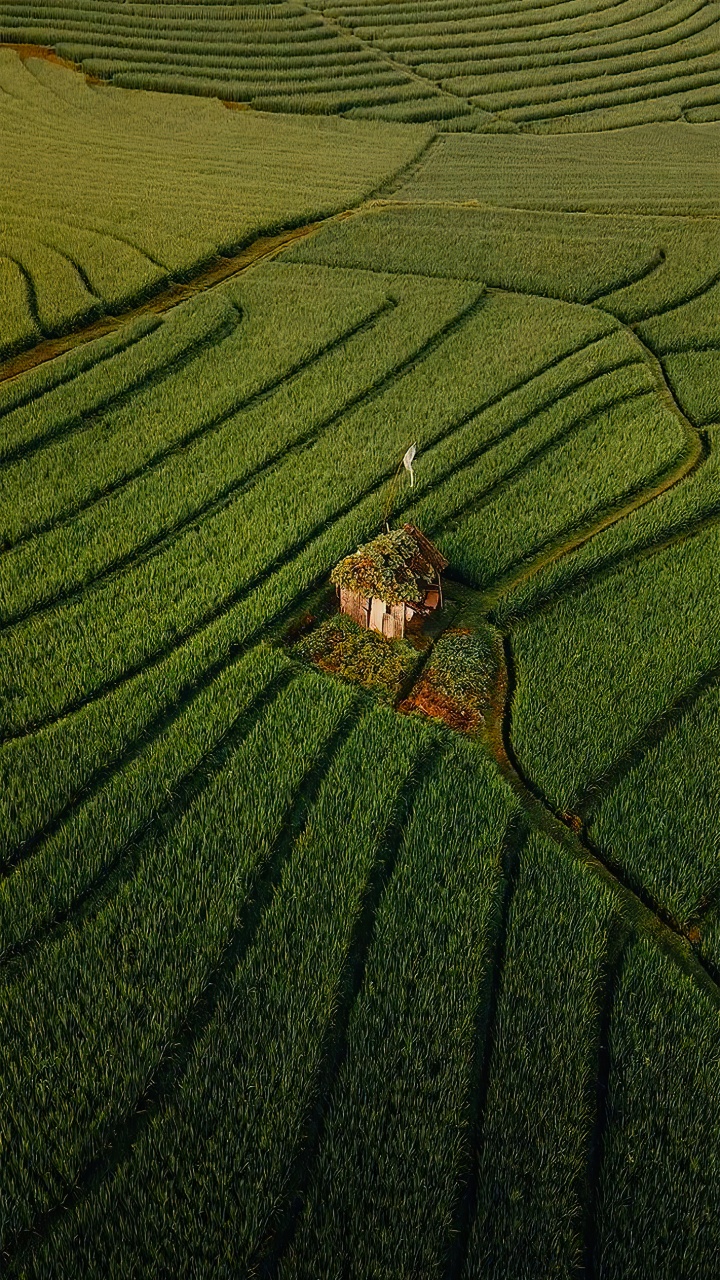 La Gente en la Naturaleza, Sueños me Encanta Viajar, Viaje, Agricultura, Planta Terrestre. Wallpaper in 720x1280 Resolution