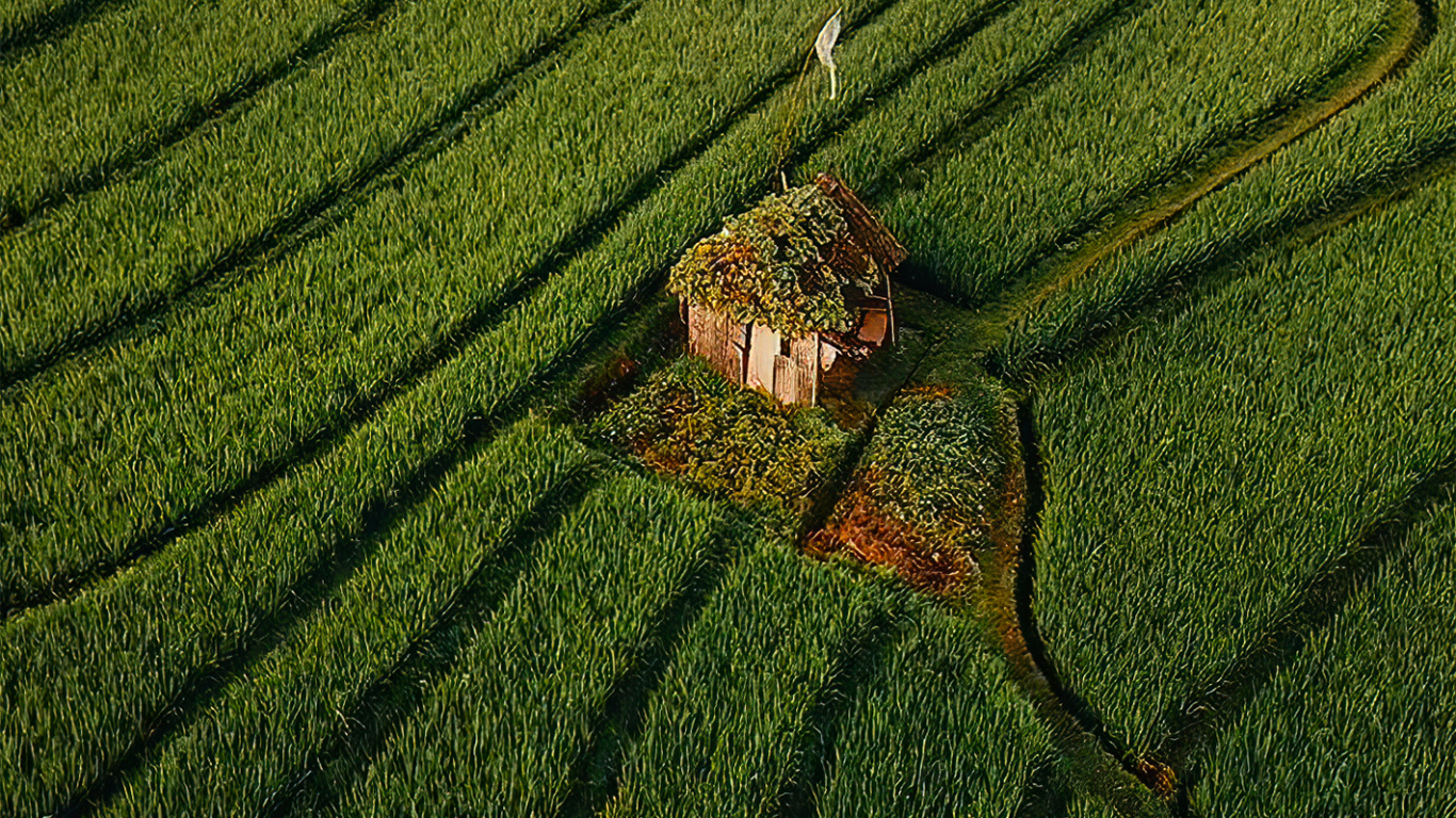 Les Gens Dans la Nature, Rêves J'aime Voyager, Voyage, Agriculture, Plante Terrestre. Wallpaper in 1366x768 Resolution