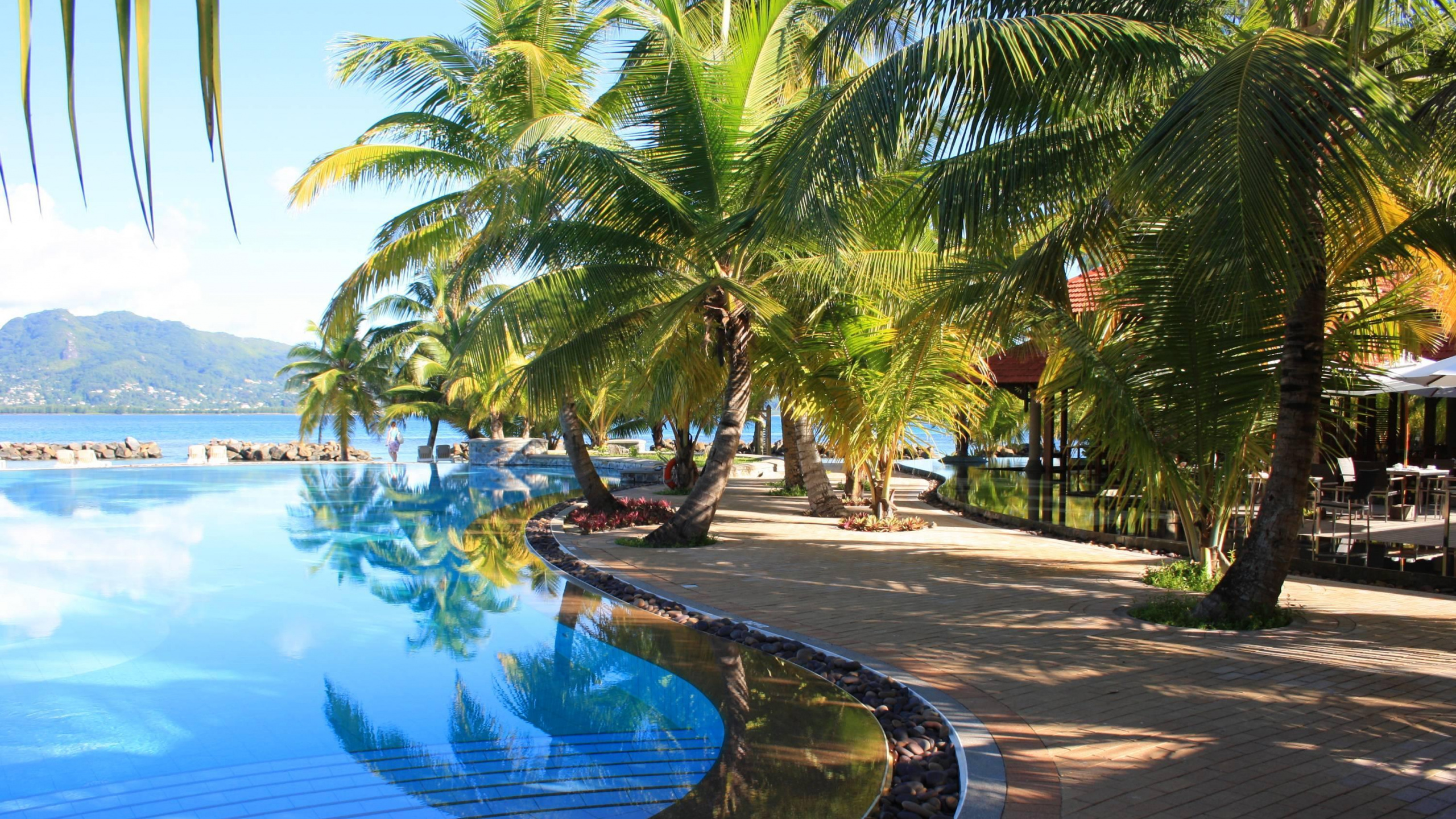Palm Trees Near Swimming Pool During Daytime. Wallpaper in 2560x1440 Resolution
