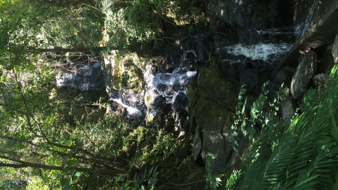 Nature Reserve, Water, Biome, Old Growth Forest, Watercourse. Wallpaper in 1280x720 Resolution