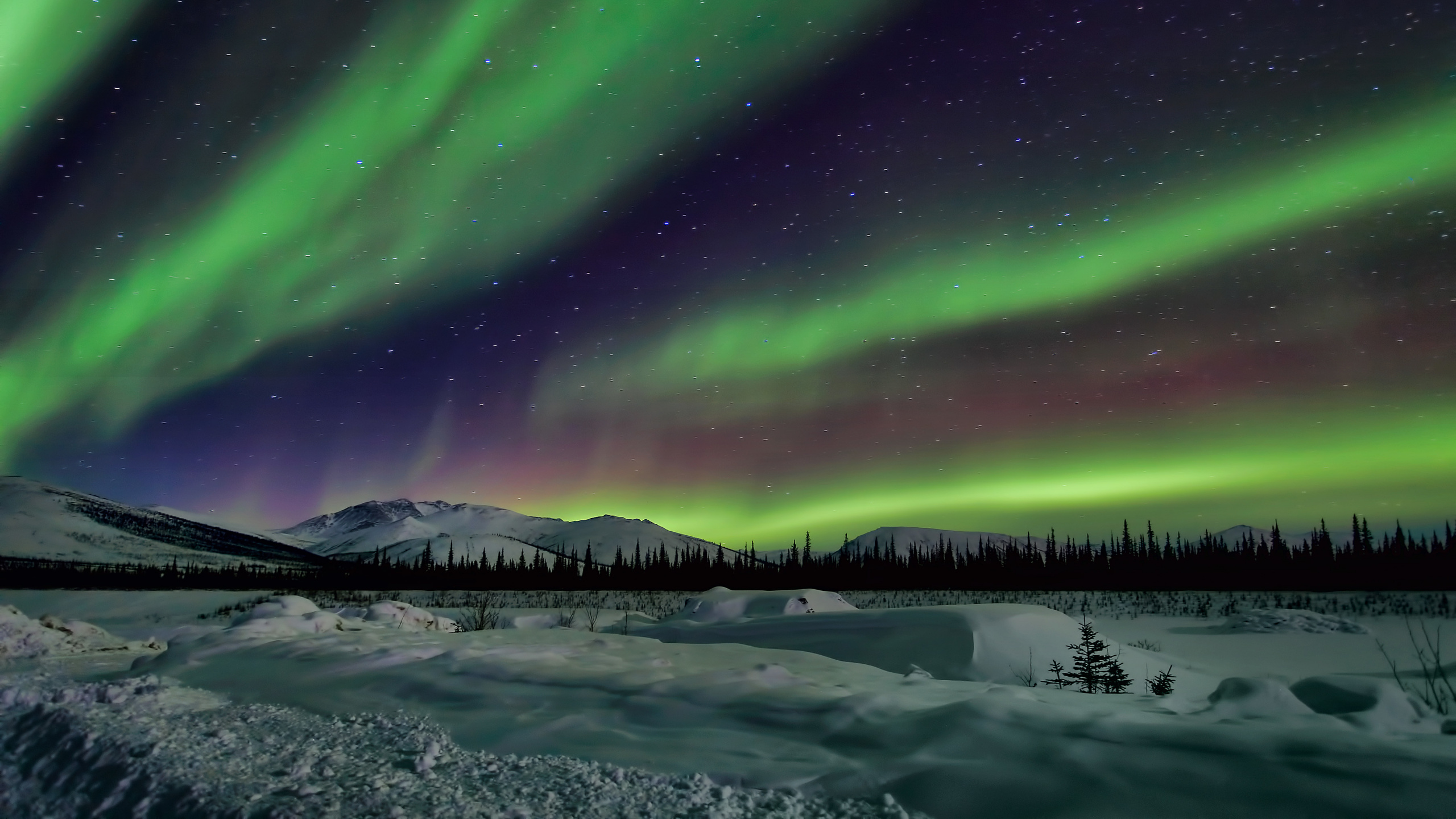 Green Aurora Lights Over Snow Covered Ground During Night Time. Wallpaper in 2560x1440 Resolution