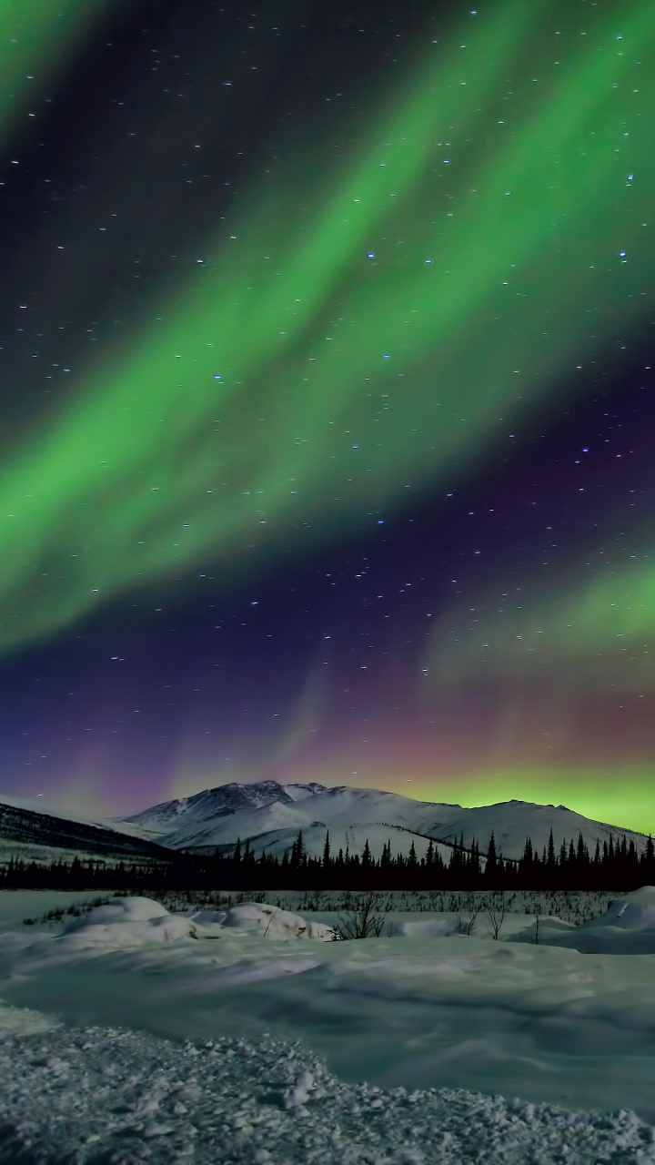 Aurora Verte S'allume Au-dessus du Sol Couvert de Neige Pendant la Nuit. Wallpaper in 720x1280 Resolution