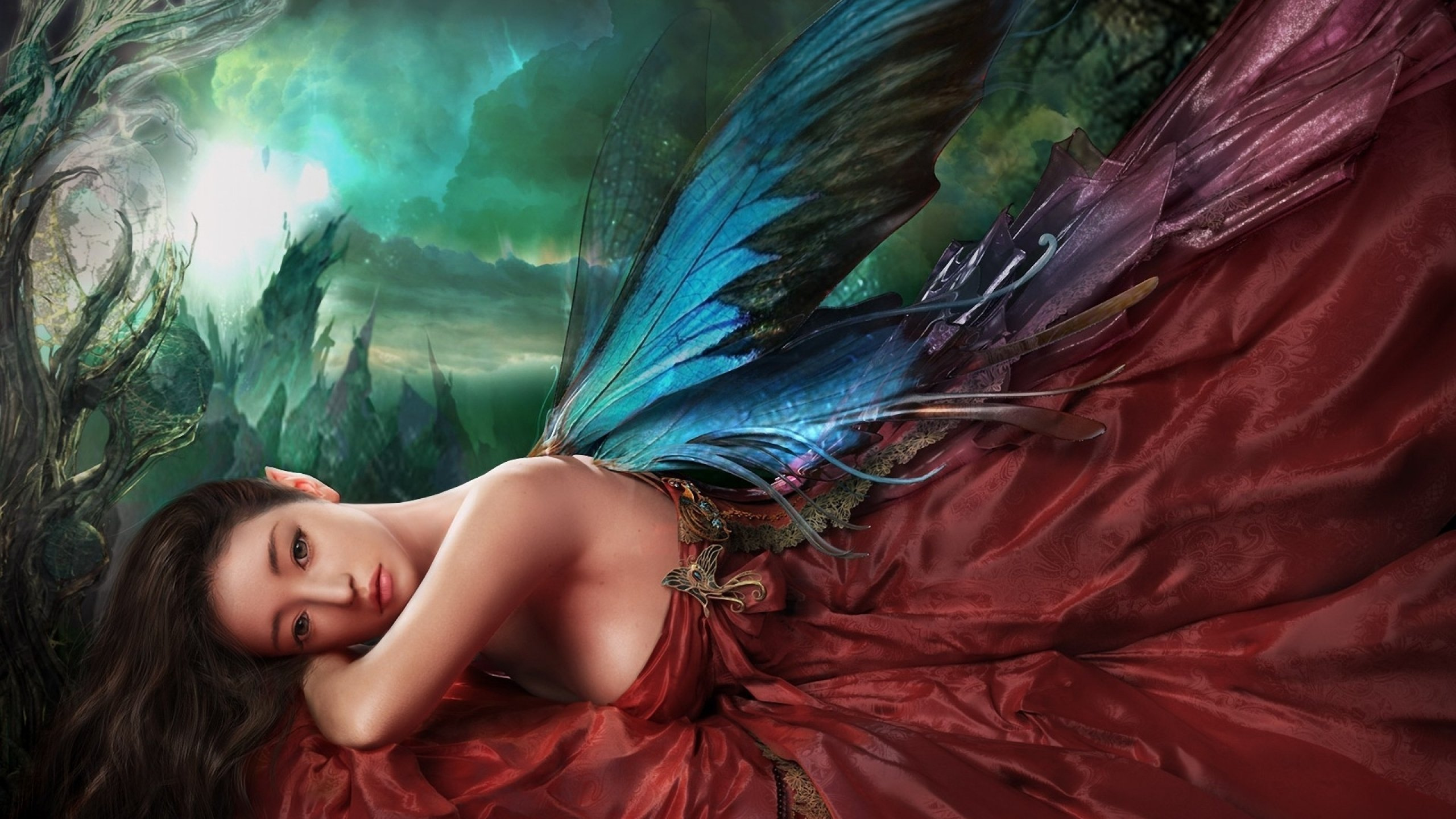 童话, 艺术, 羽毛, 翼, 神秘的生物 壁纸 2560x1440 允许