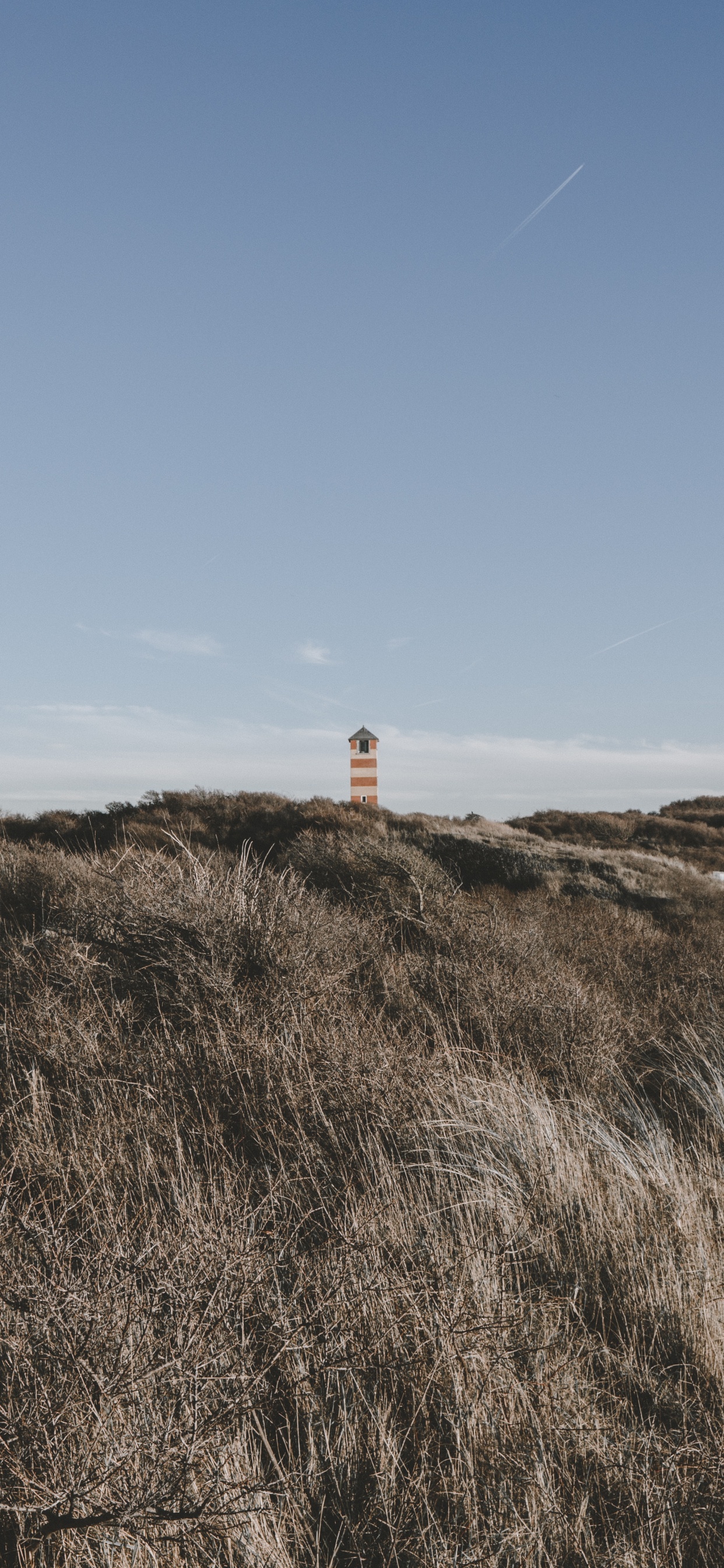 Natürlichen Umgebung, Gras, Leuchtturm, Grünland, Meer. Wallpaper in 1242x2688 Resolution