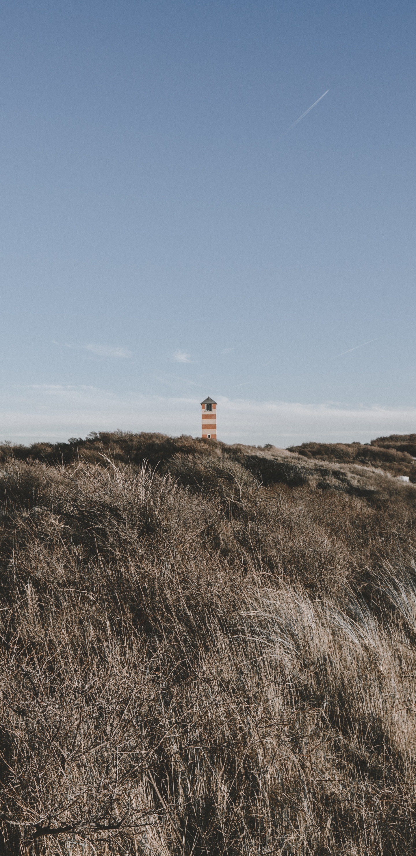 Natural Environment, Grass, Lighthouse, Grassland, Sea. Wallpaper in 1440x2960 Resolution
