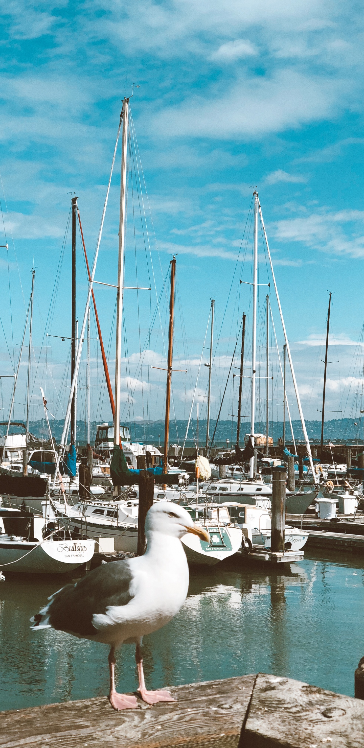 Marina, Bateau, Corps de L'eau, Eau, Fluide. Wallpaper in 1440x2960 Resolution