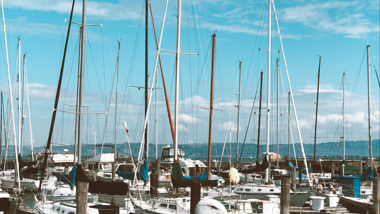 Marina, Velero, Pájaros, Barco, Cuerpo de Agua. Wallpaper in 1280x720 Resolution