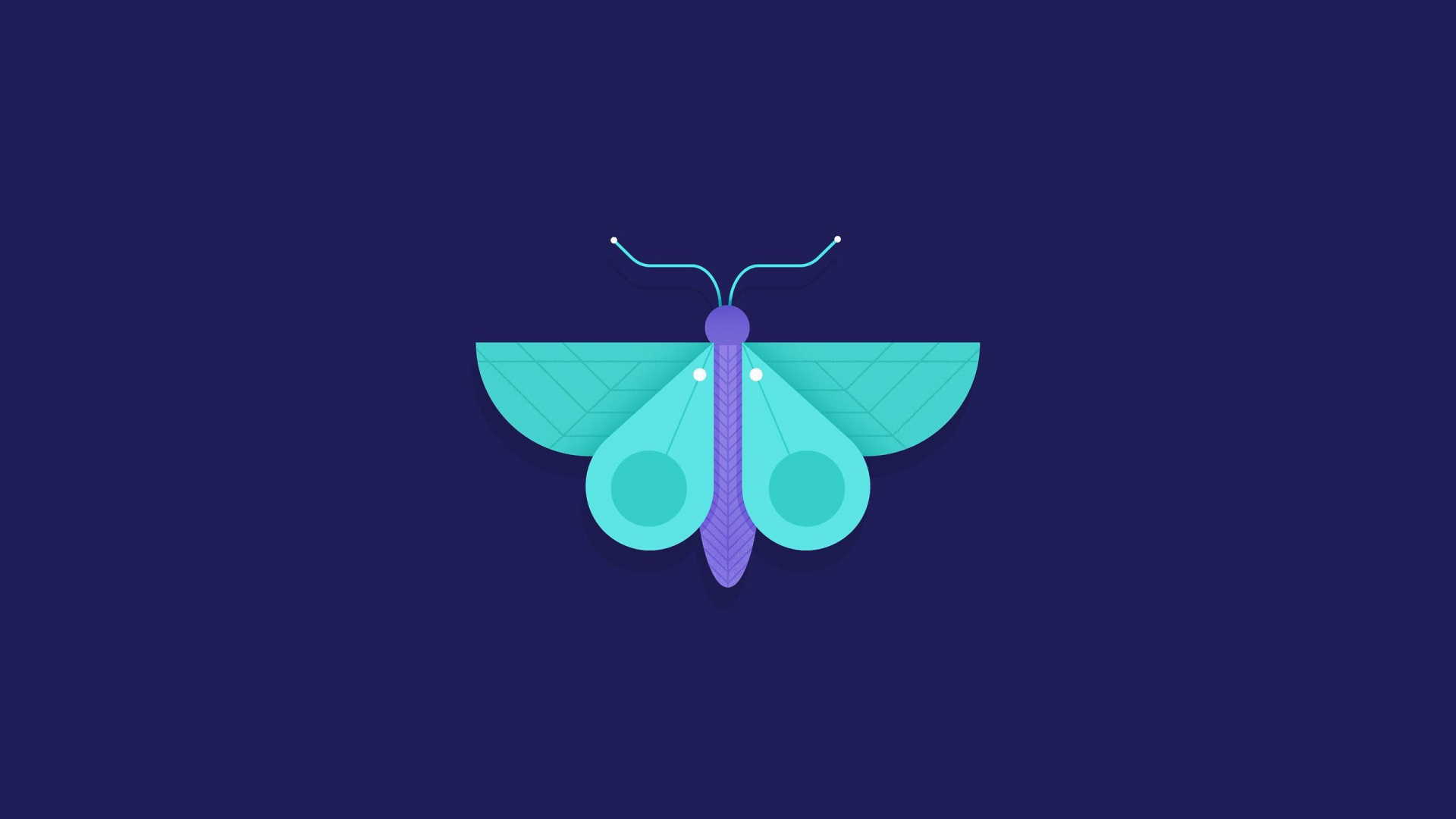 Illustration de Papillon Rose et Vert. Wallpaper in 1920x1080 Resolution