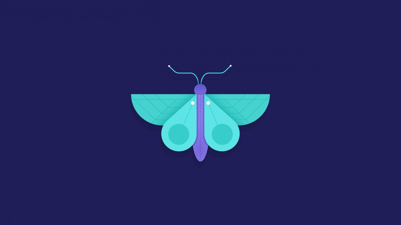 Pink and Green Butterfly Illustration. Wallpaper in 1366x768 Resolution
