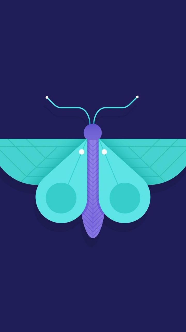 Pink and Green Butterfly Illustration. Wallpaper in 720x1280 Resolution