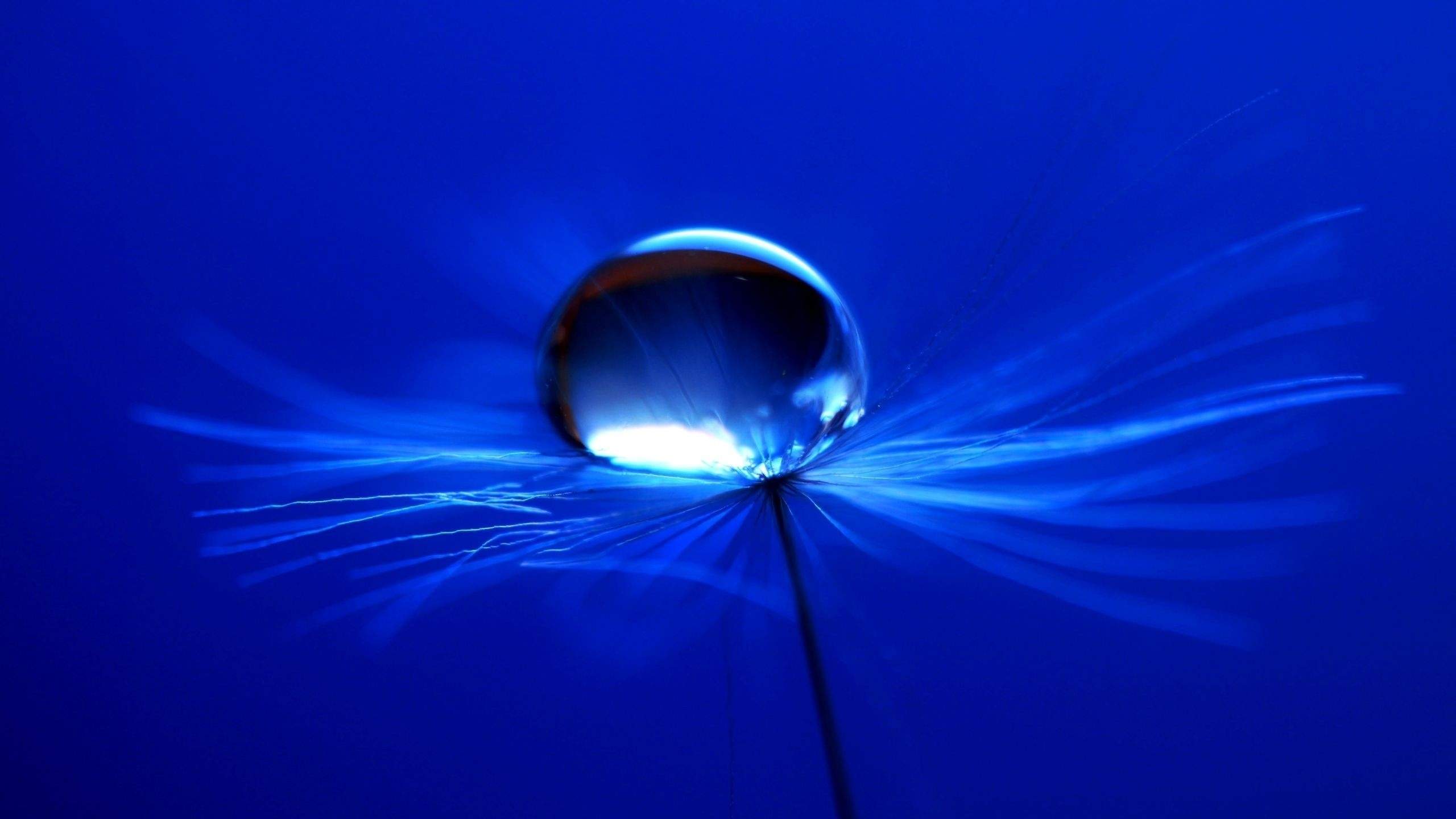 Blaue Und Weiße Lichtillustration. Wallpaper in 2560x1440 Resolution