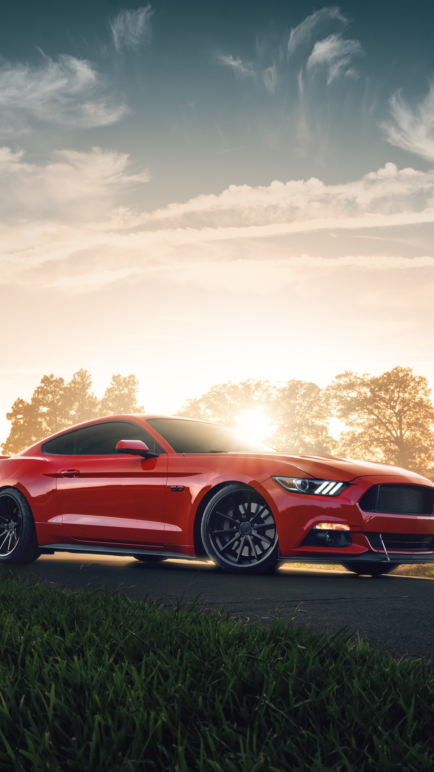 Coupé Rouge Sur Route Pendant le Coucher du Soleil. Wallpaper in 1440x2560 Resolution