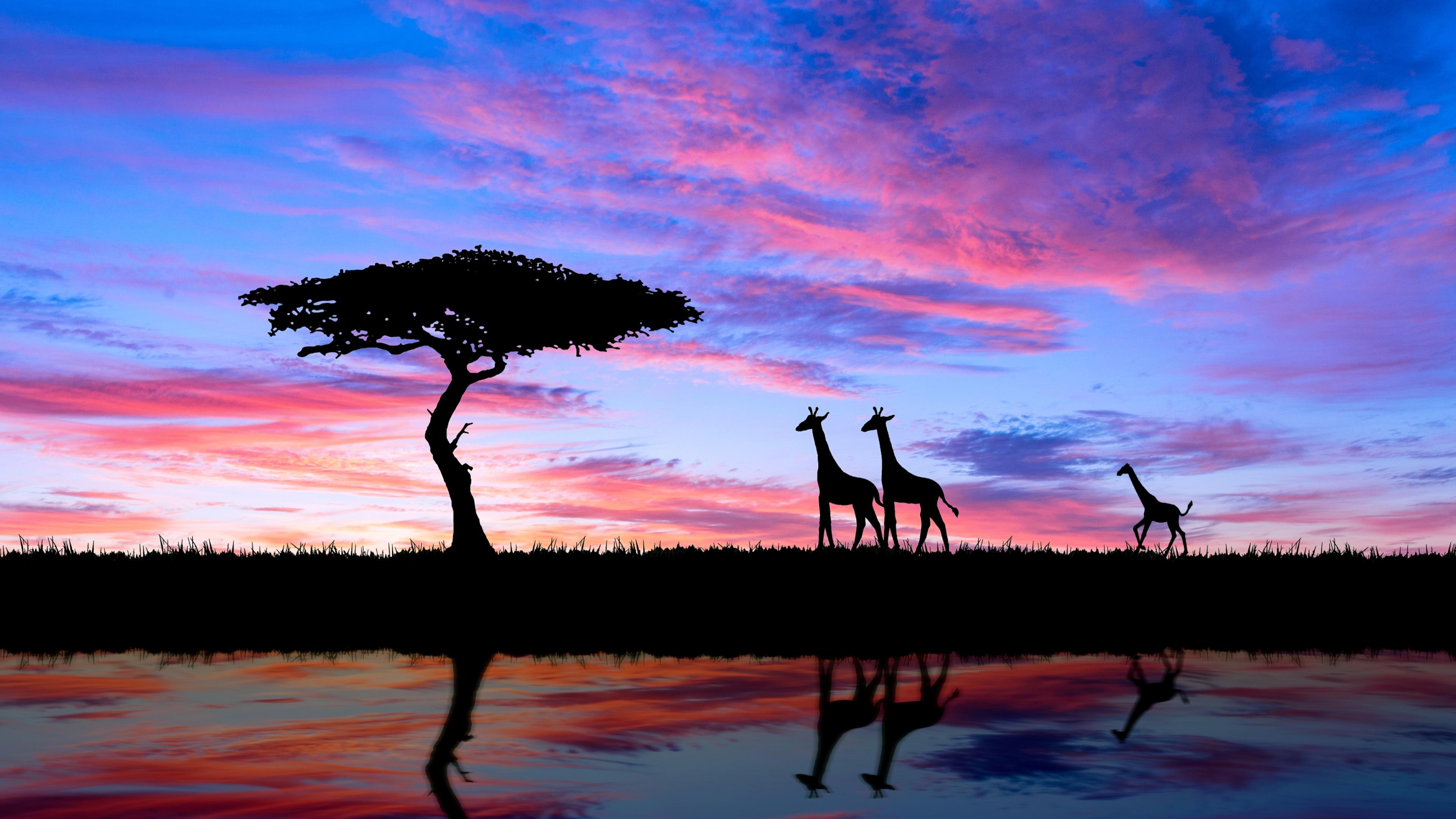 Silhouette de 2 Personne Debout Sur Terrain en Herbe Pendant le Coucher du Soleil. Wallpaper in 3840x2160 Resolution