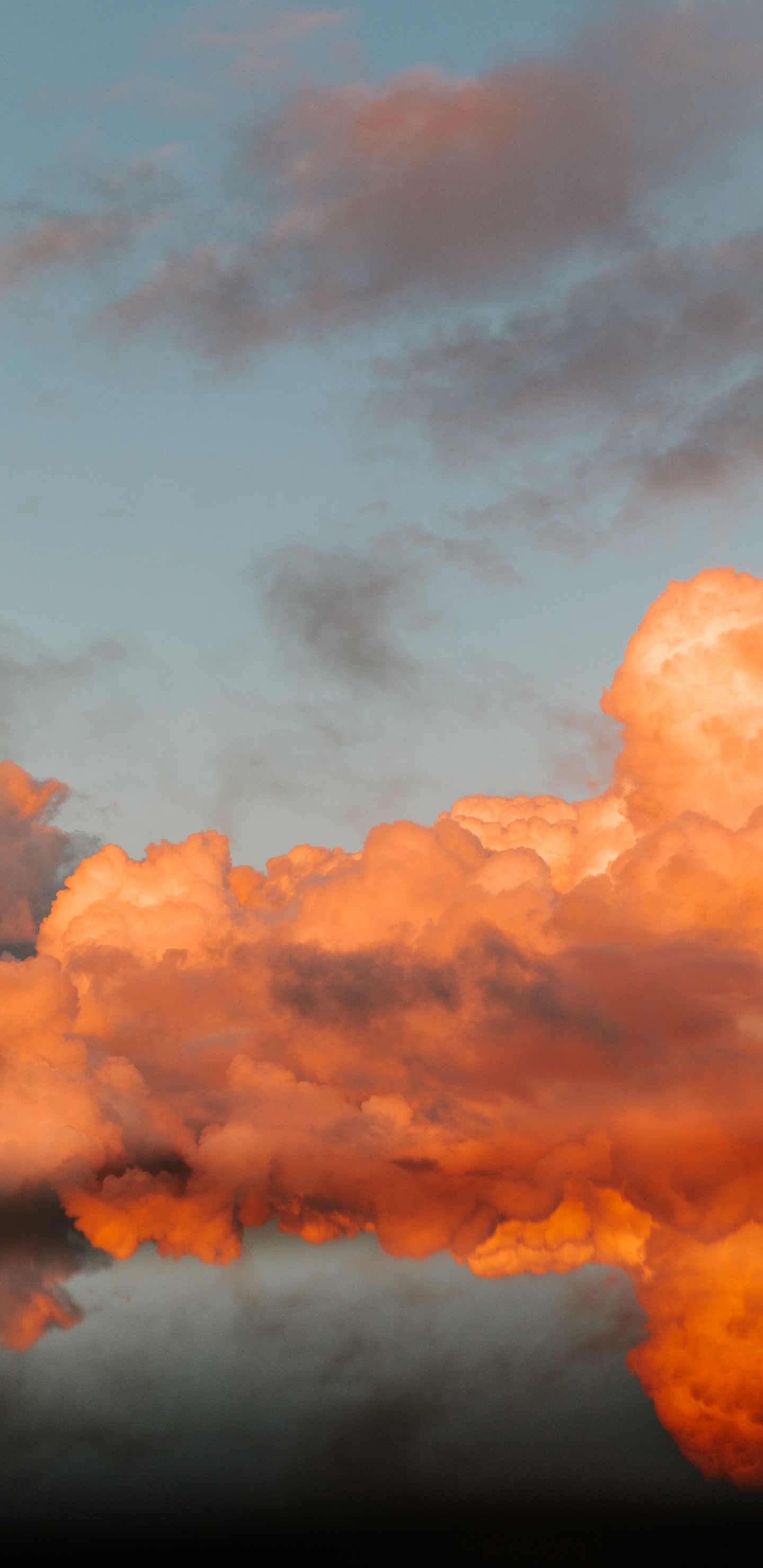 Afterglow, Cumulus, la Journée, Orange, Red. Wallpaper in 1440x2960 Resolution