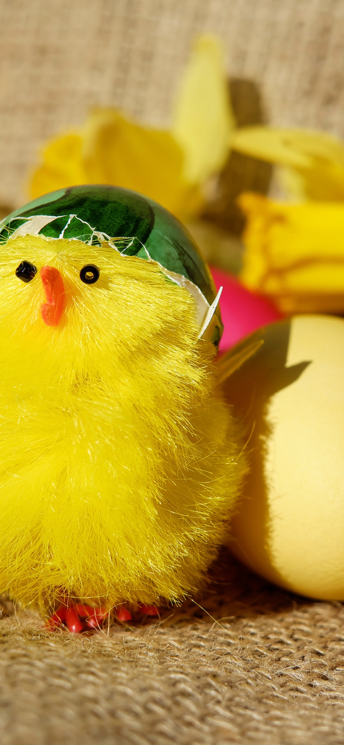 Pollo, Amarillo, Huevo, Huevo de Pascua, Pascua. Wallpaper in 1125x2436 Resolution