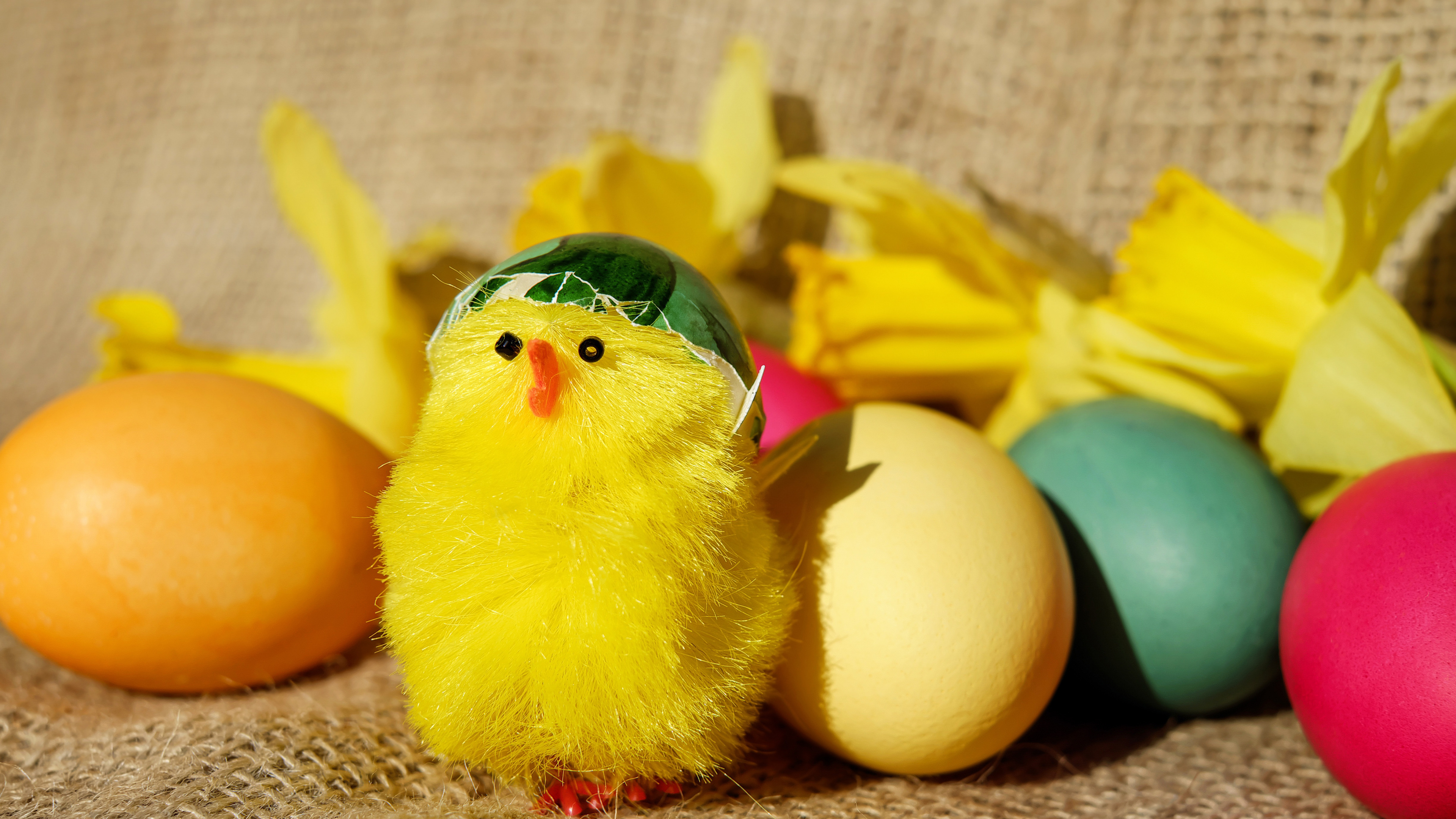 Pollo, Amarillo, Huevo, Huevo de Pascua, Pascua. Wallpaper in 3840x2160 Resolution