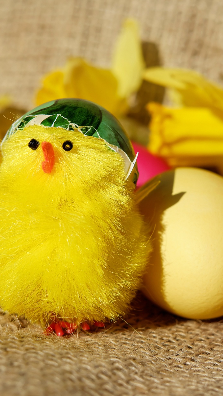 Poulet, Jaune, Oeuf, Oeuf de Pâques, Pâques. Wallpaper in 720x1280 Resolution