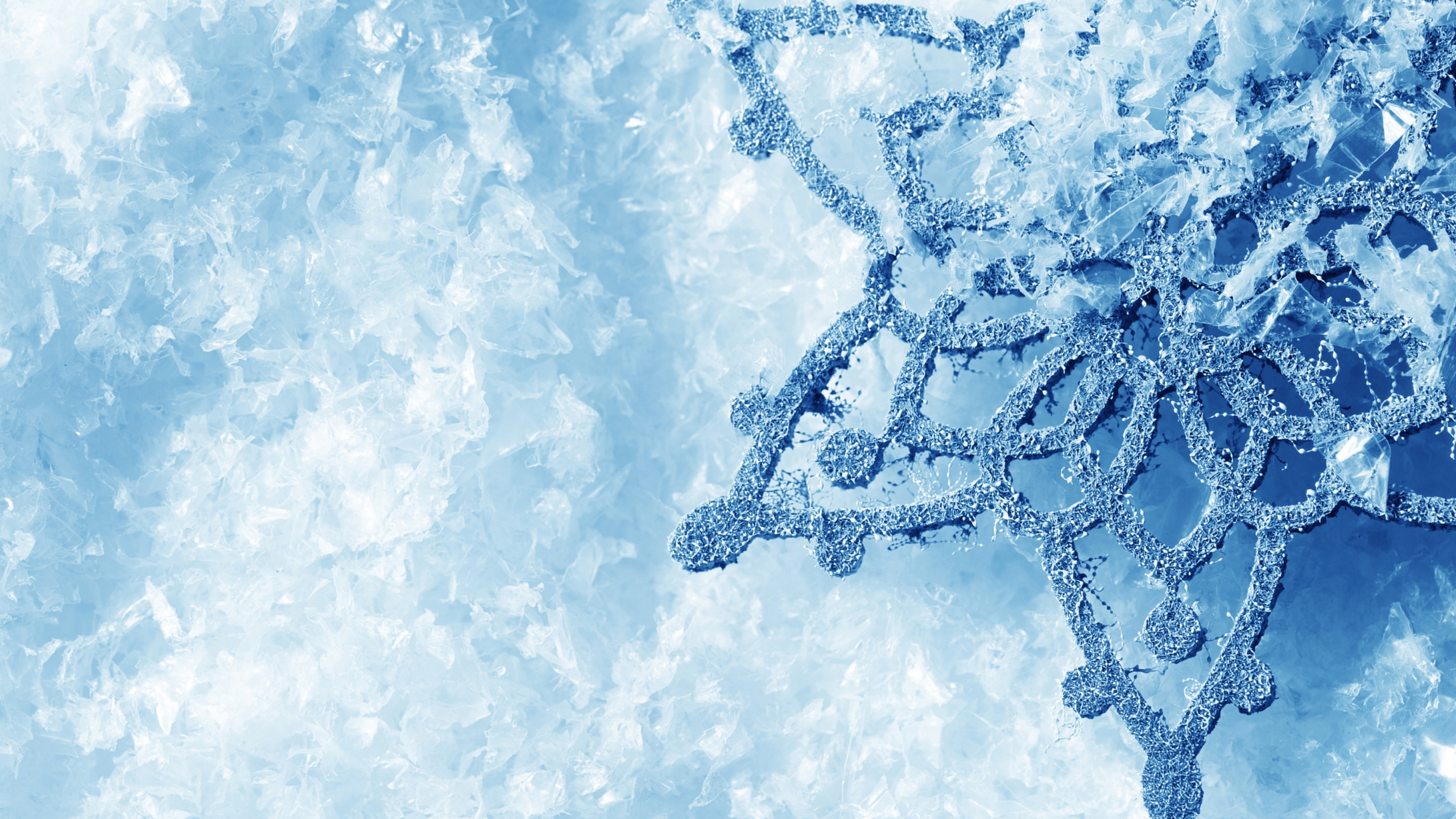 Weiße Schneeflocken Auf Weißem Sand. Wallpaper in 2560x1440 Resolution