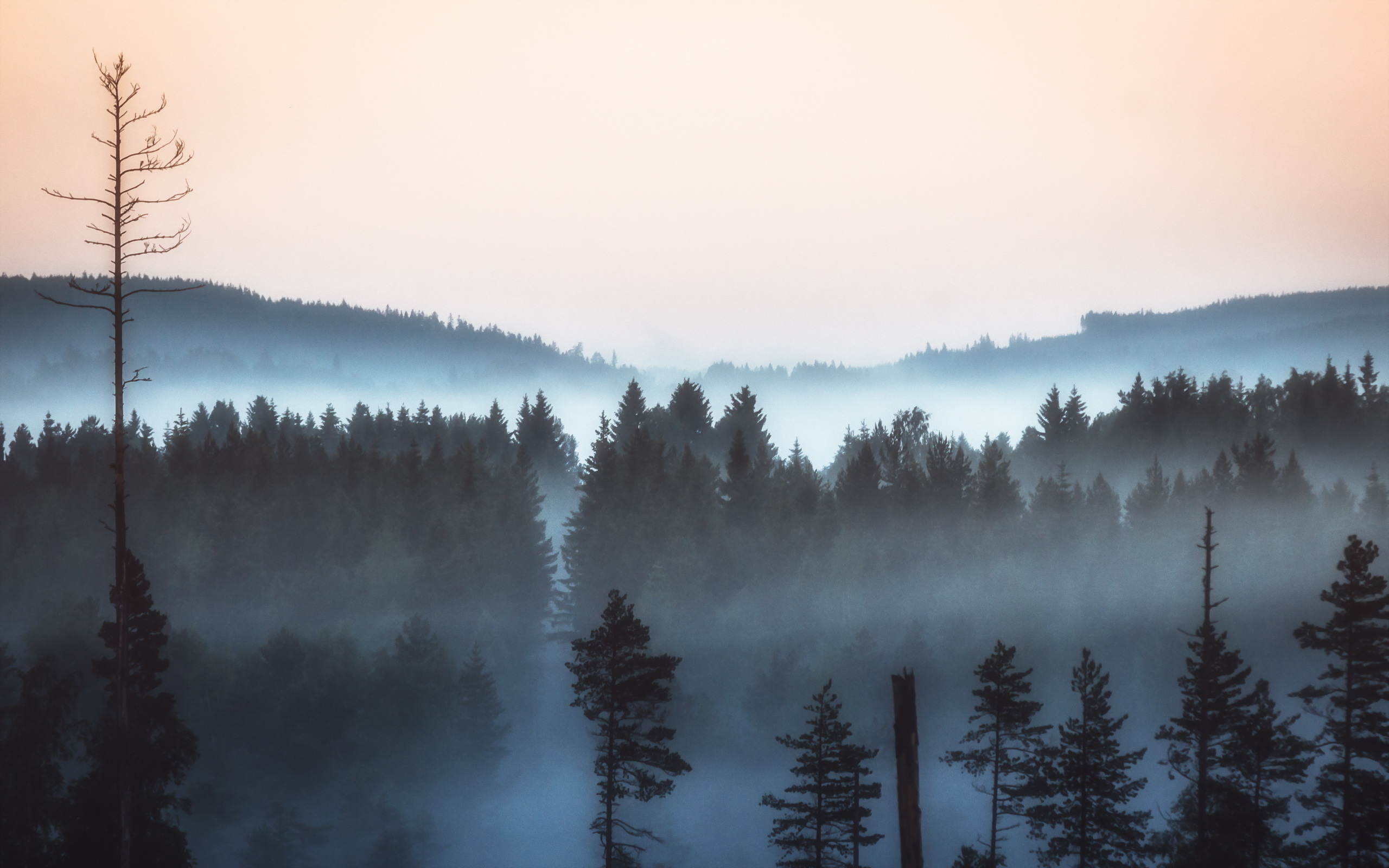 fog wallpaper 4k for pc