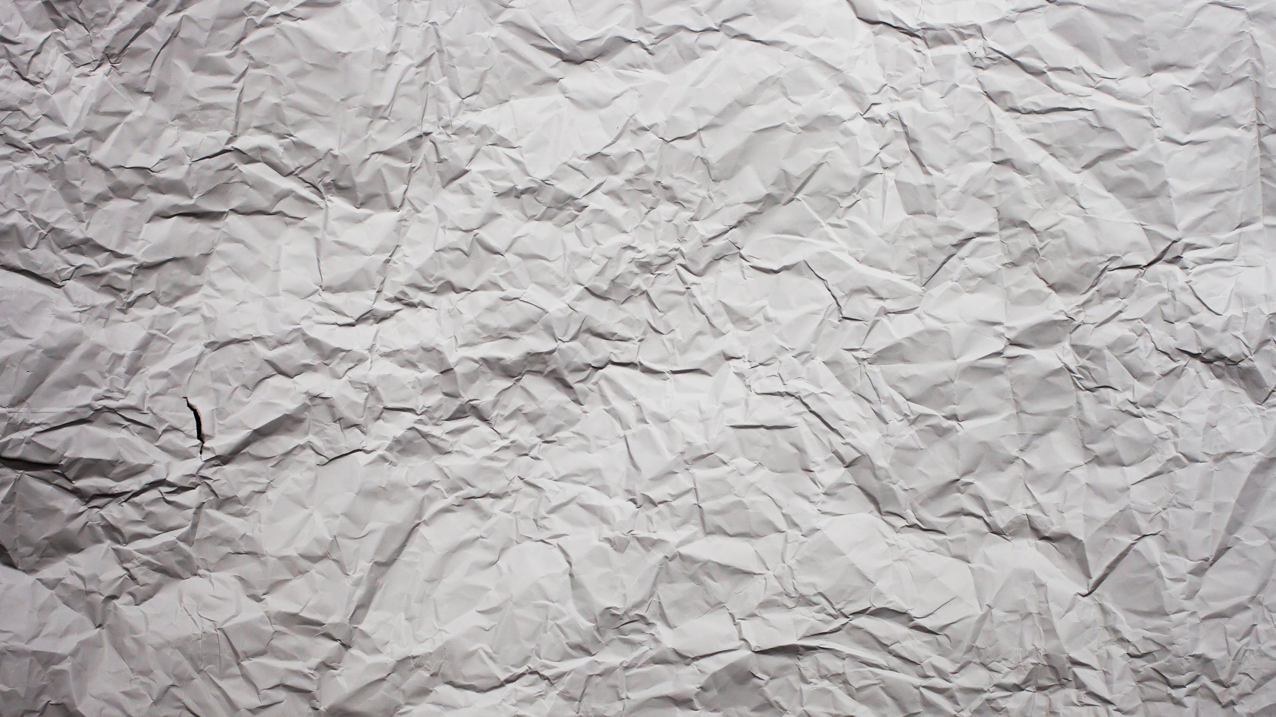 Textil Floral Blanco y Rosa. Wallpaper in 2560x1440 Resolution