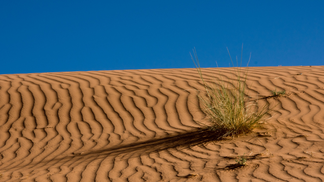 Brown Sand Under Blue Sky During Daytime. Wallpaper in 1280x720 Resolution