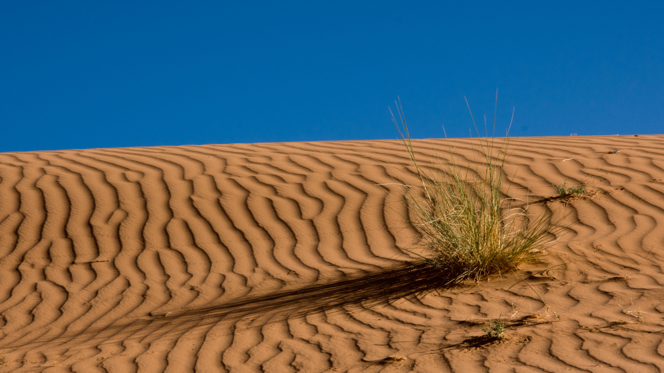 Brown Sand Under Blue Sky During Daytime. Wallpaper in 1366x768 Resolution