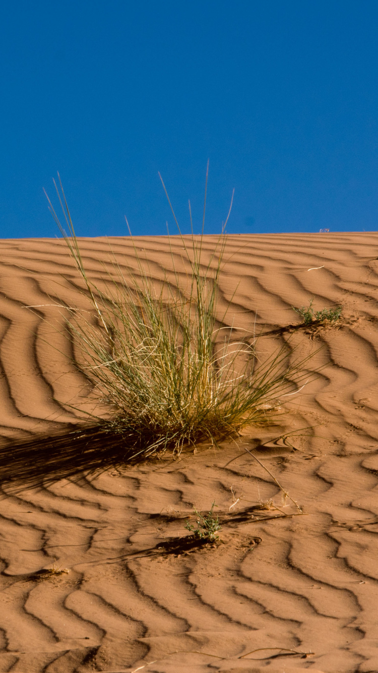 Brown Sand Under Blue Sky During Daytime. Wallpaper in 750x1334 Resolution